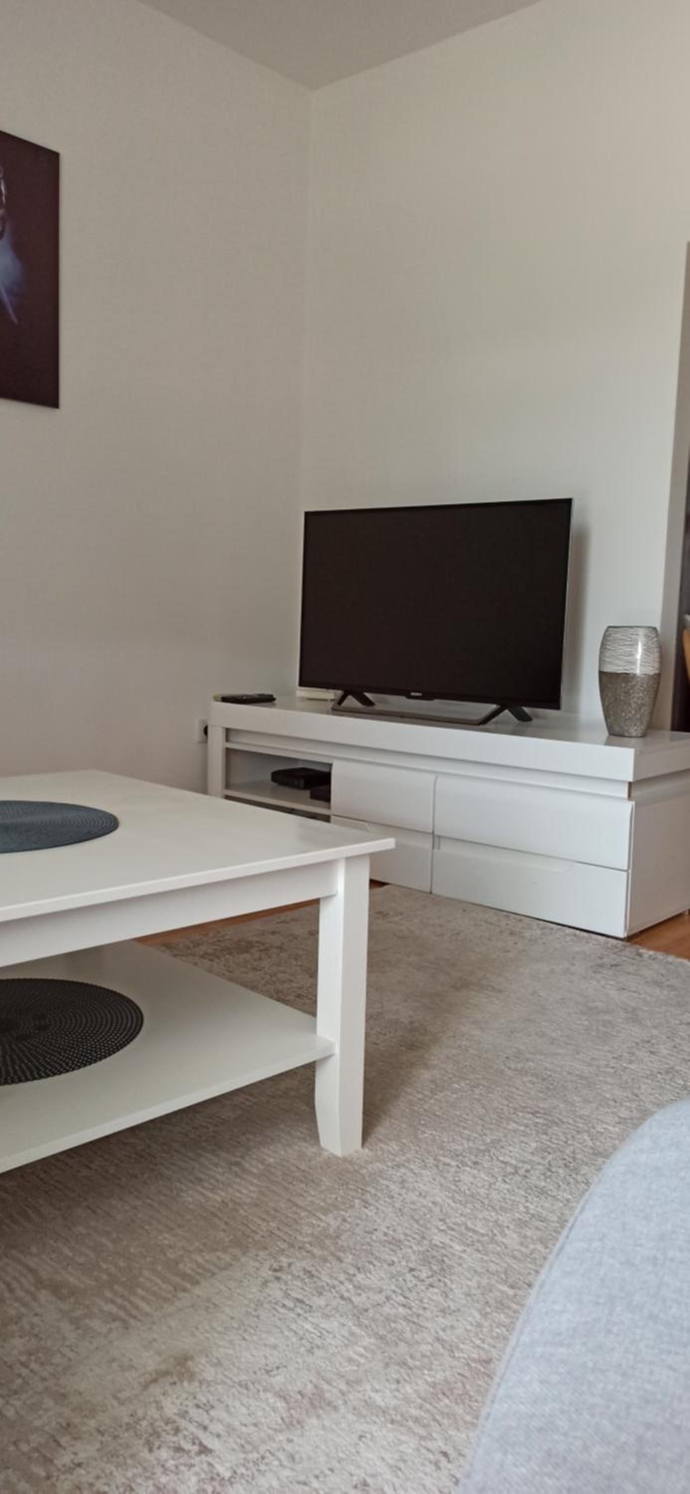 Park Apartment Berane
