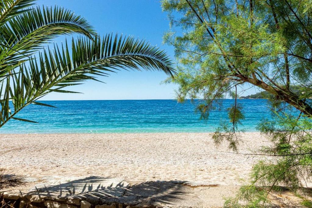 Potam'Sea Bliss 34- Beach Front, Sun Beds & Parking