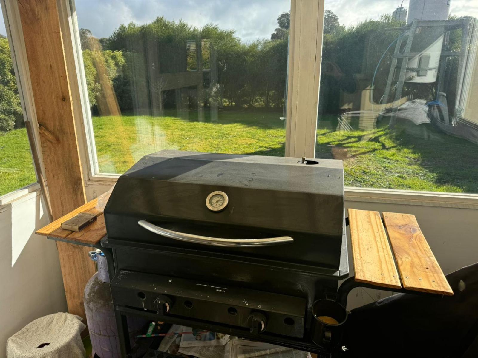 Estrella del sur