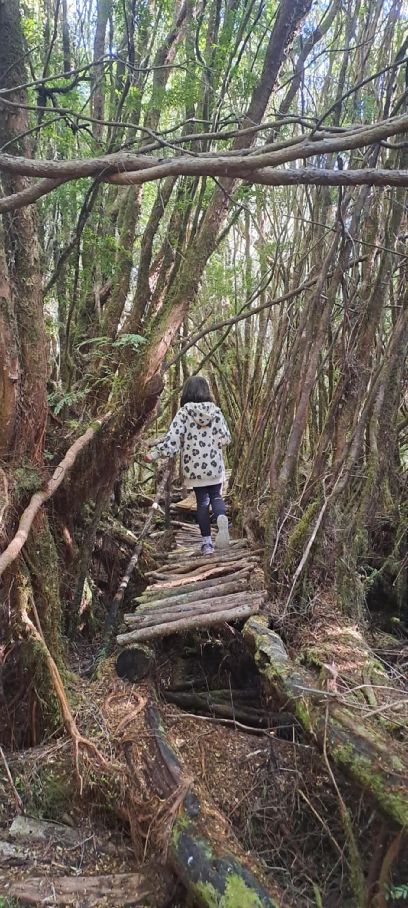 Turismo rural dalcahue
