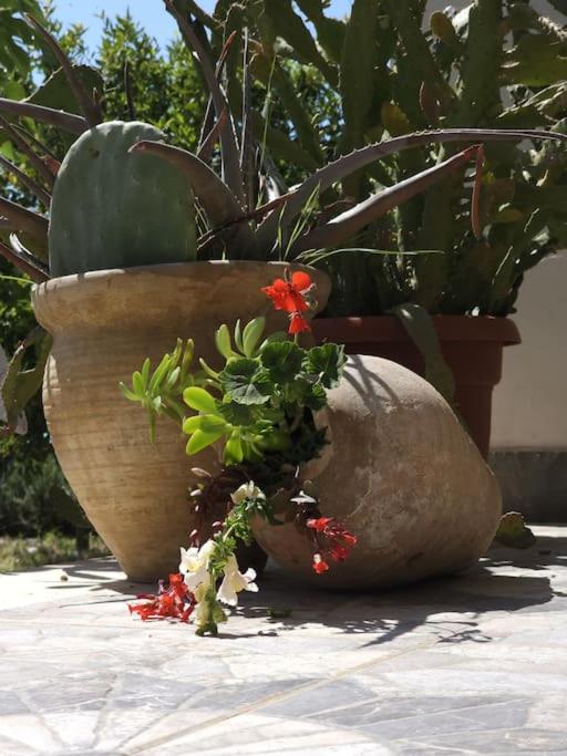 Color Villa - South Paradise 3