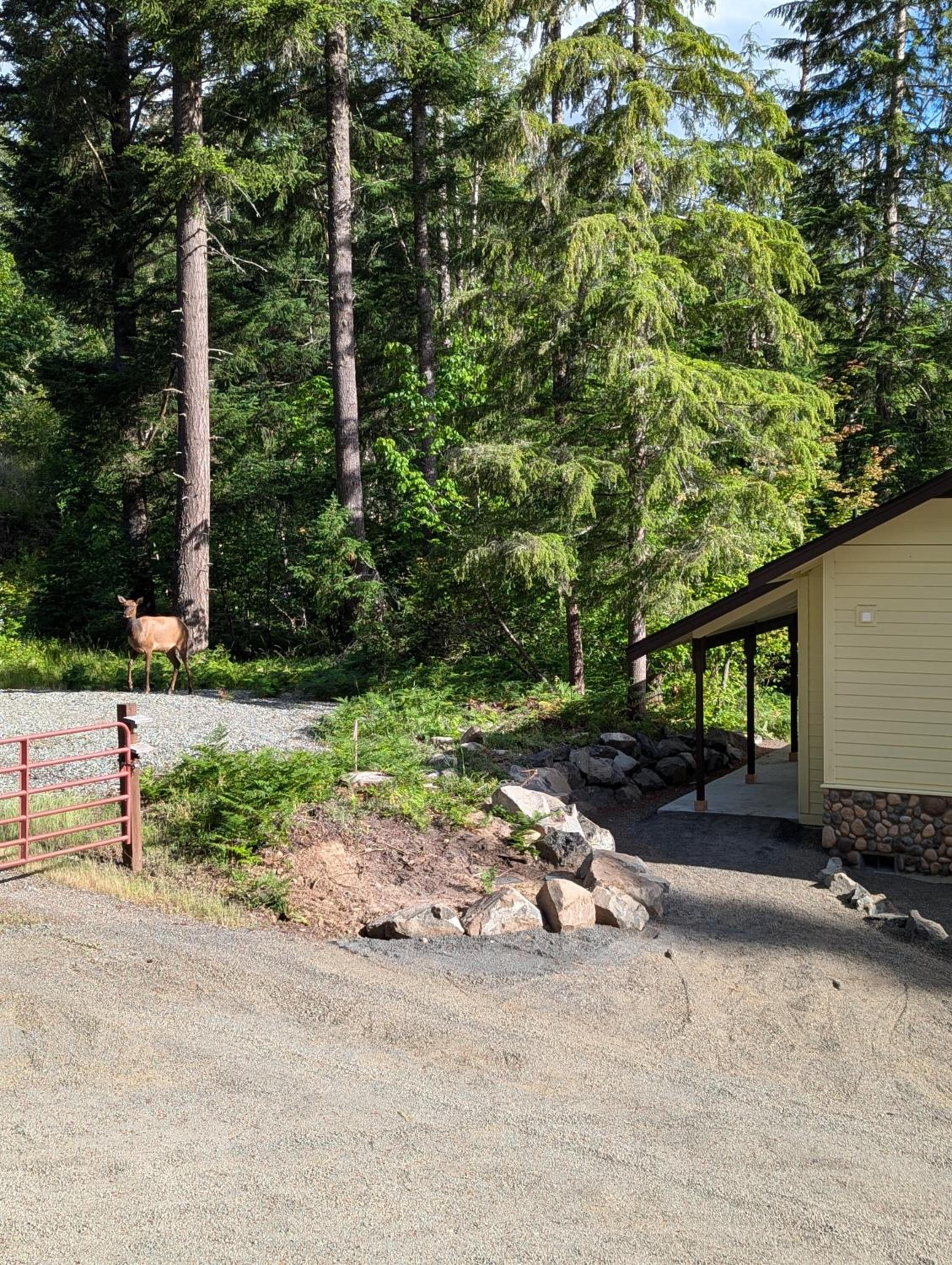 Bugling Elk Bungalow