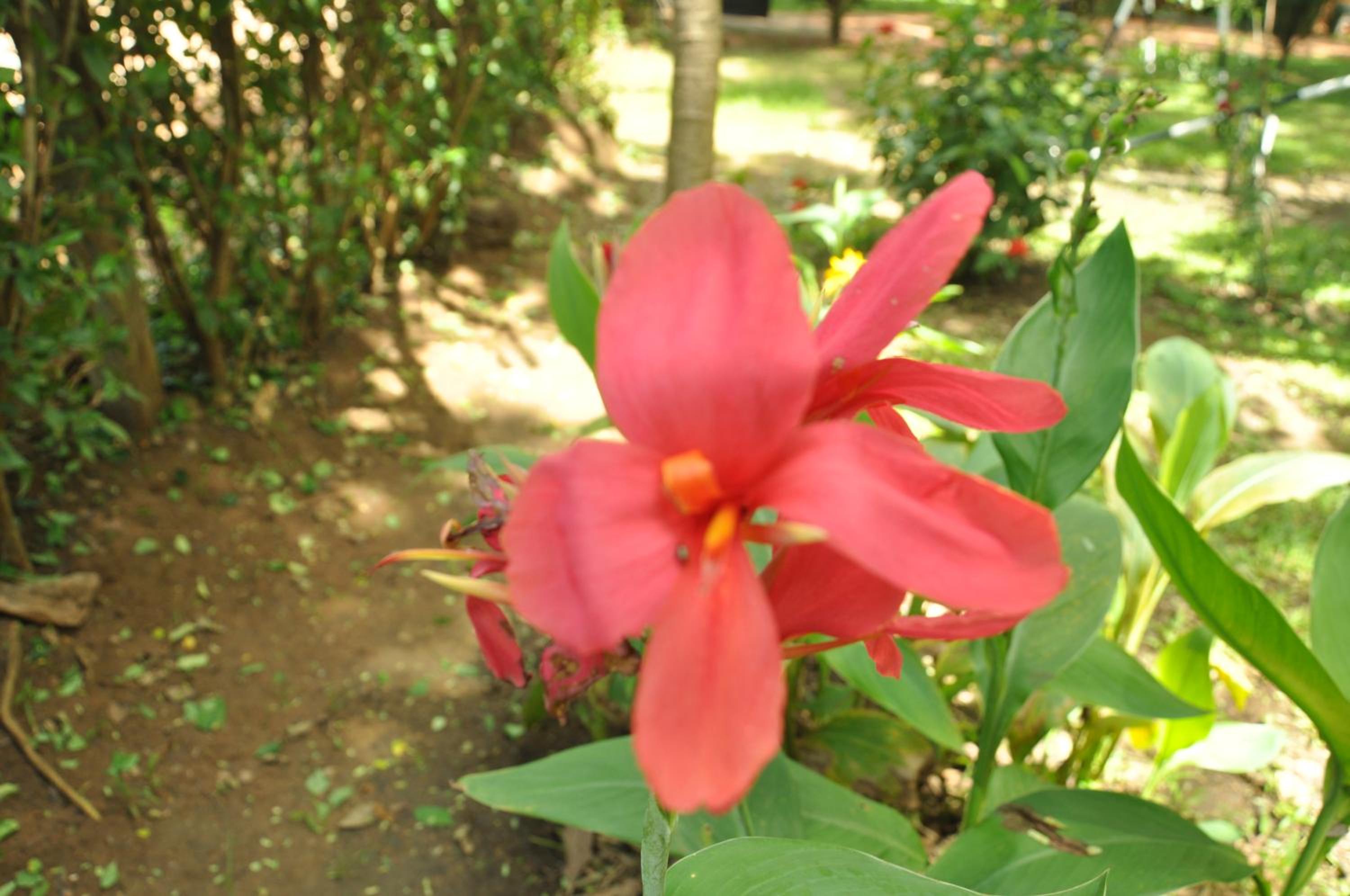 Sujatha Tourist Rest