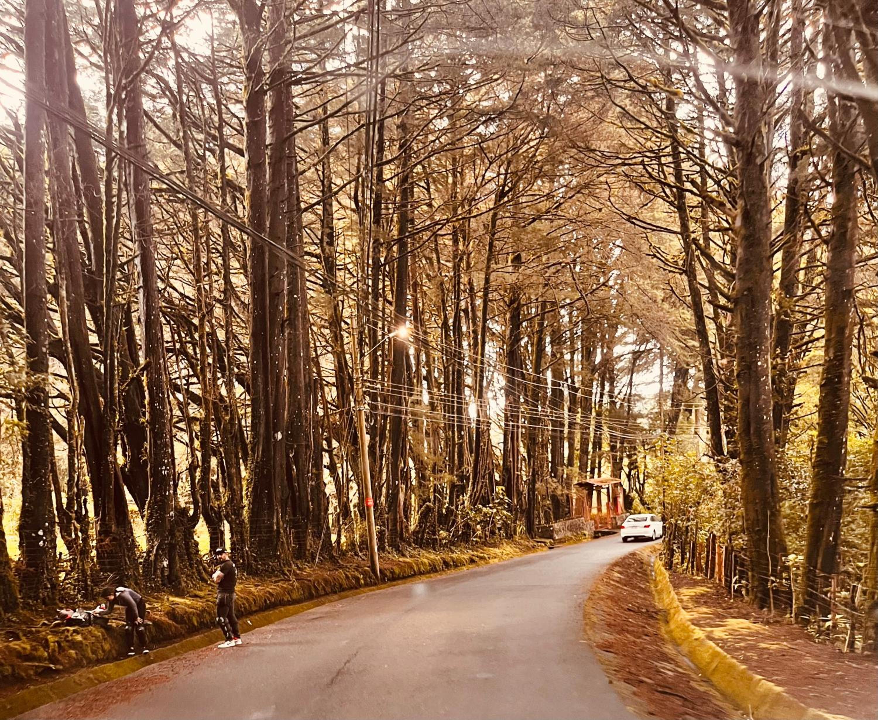 Casa de Montaña para 27 pax