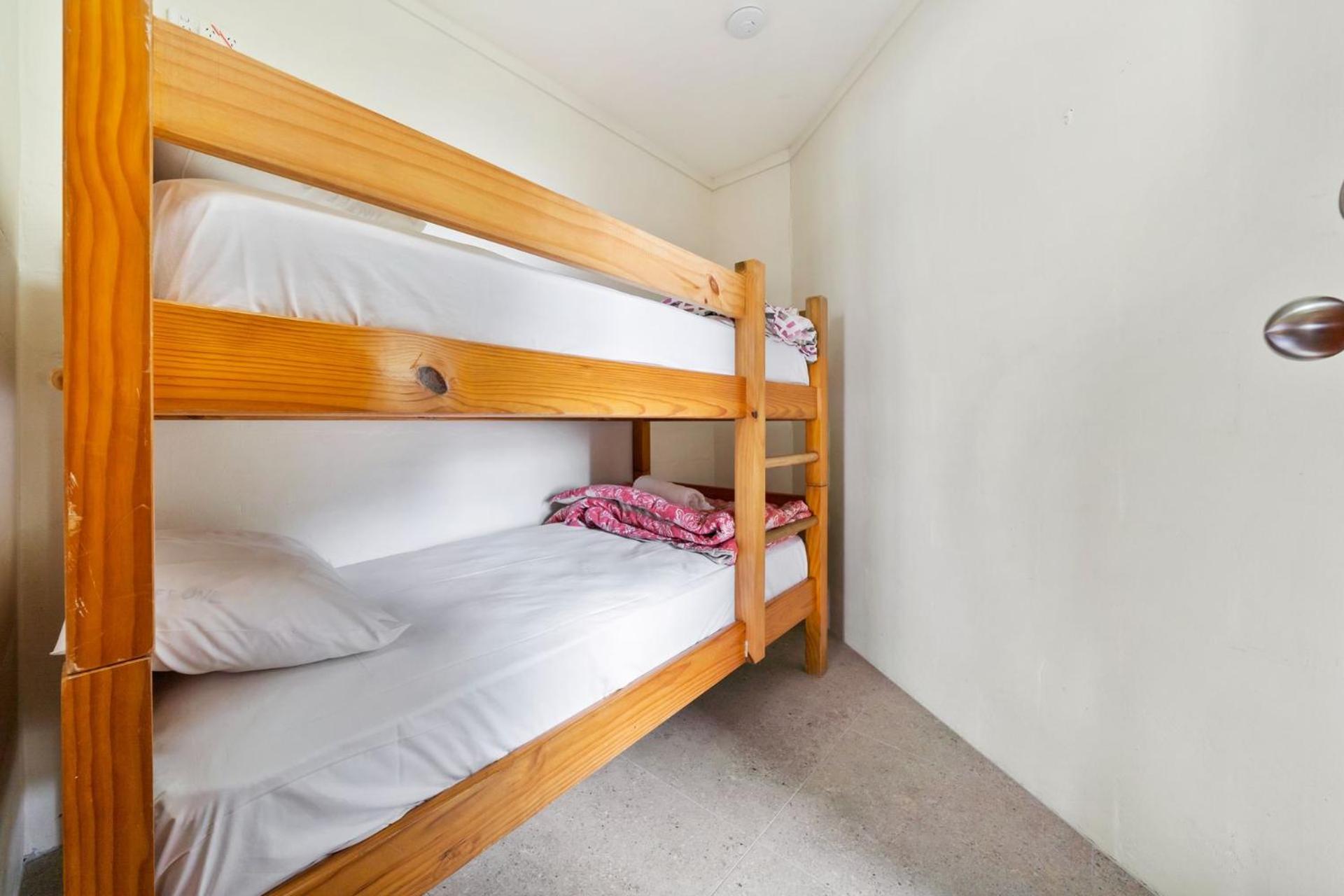 Mintee 1 by Discover Stradbroke