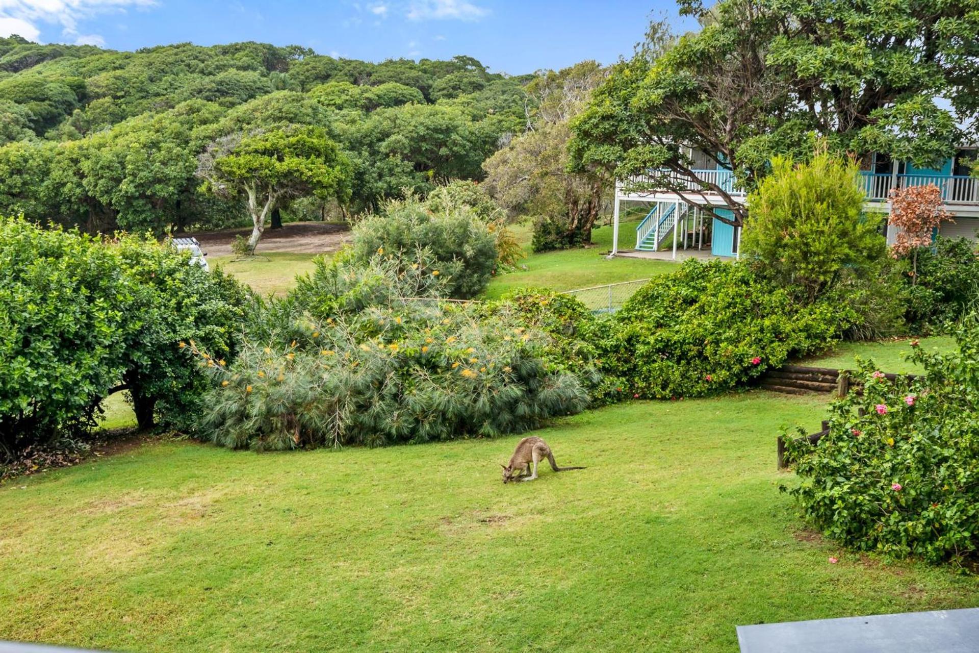 Mintee 1 by Discover Stradbroke