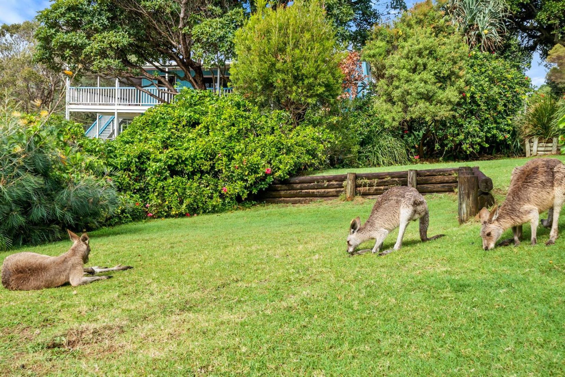 Mintee 1 by Discover Stradbroke