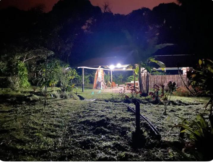 Las Luciérnagas