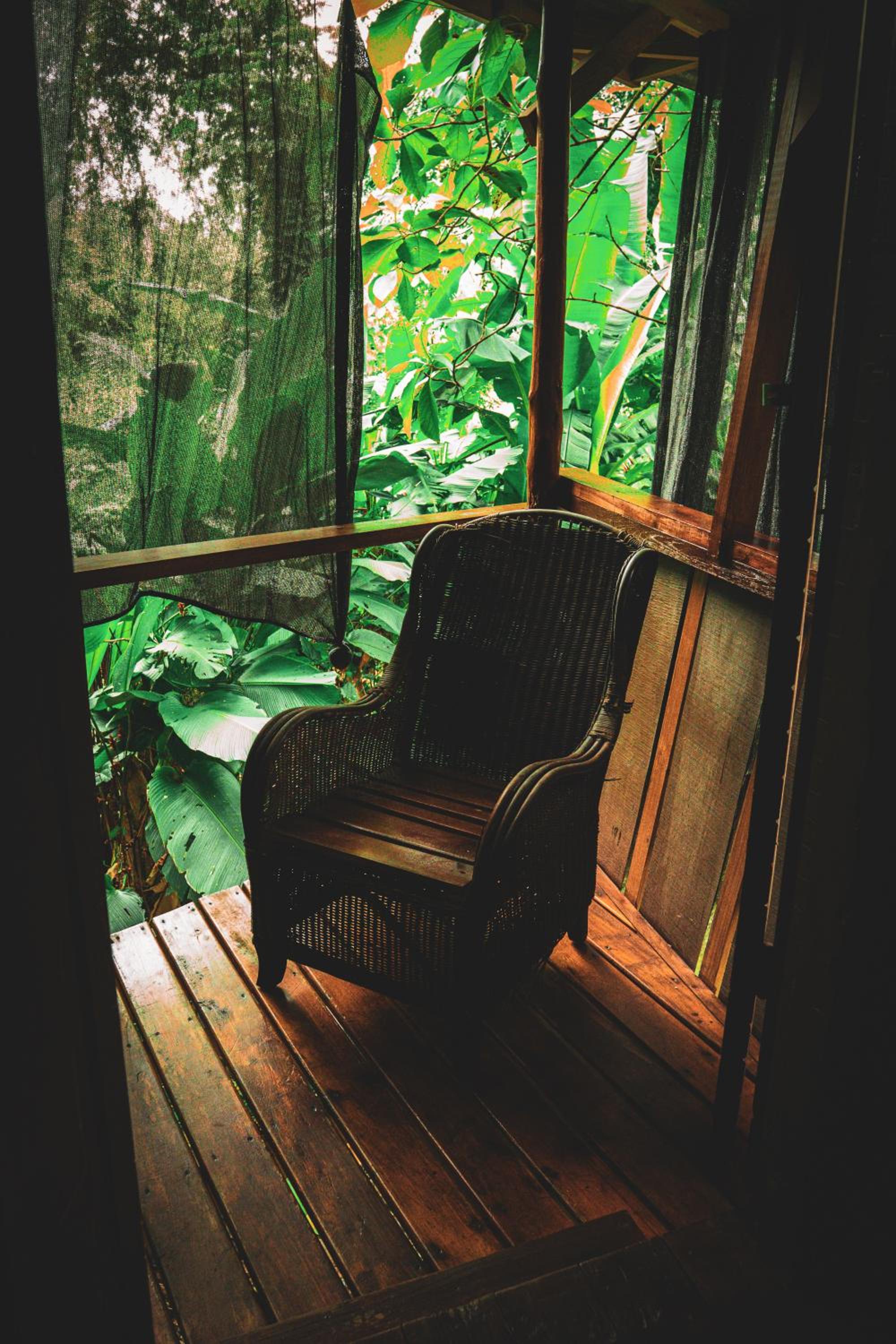 Flutterby House Hostel
