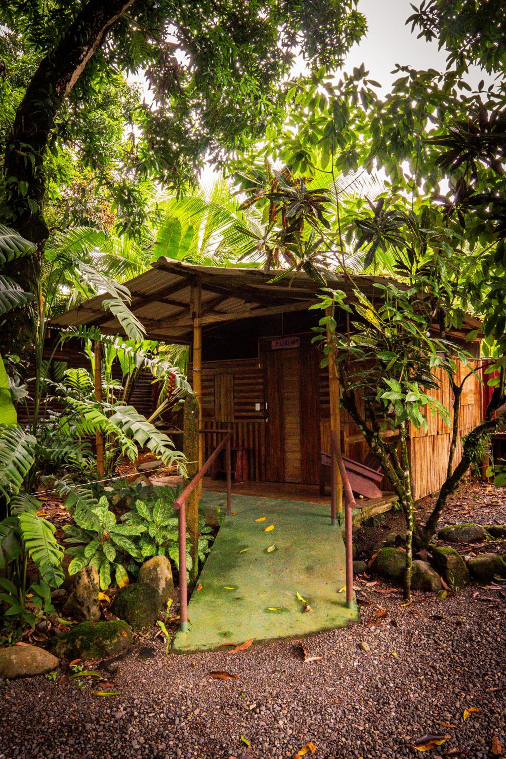 Flutterby House Hostel