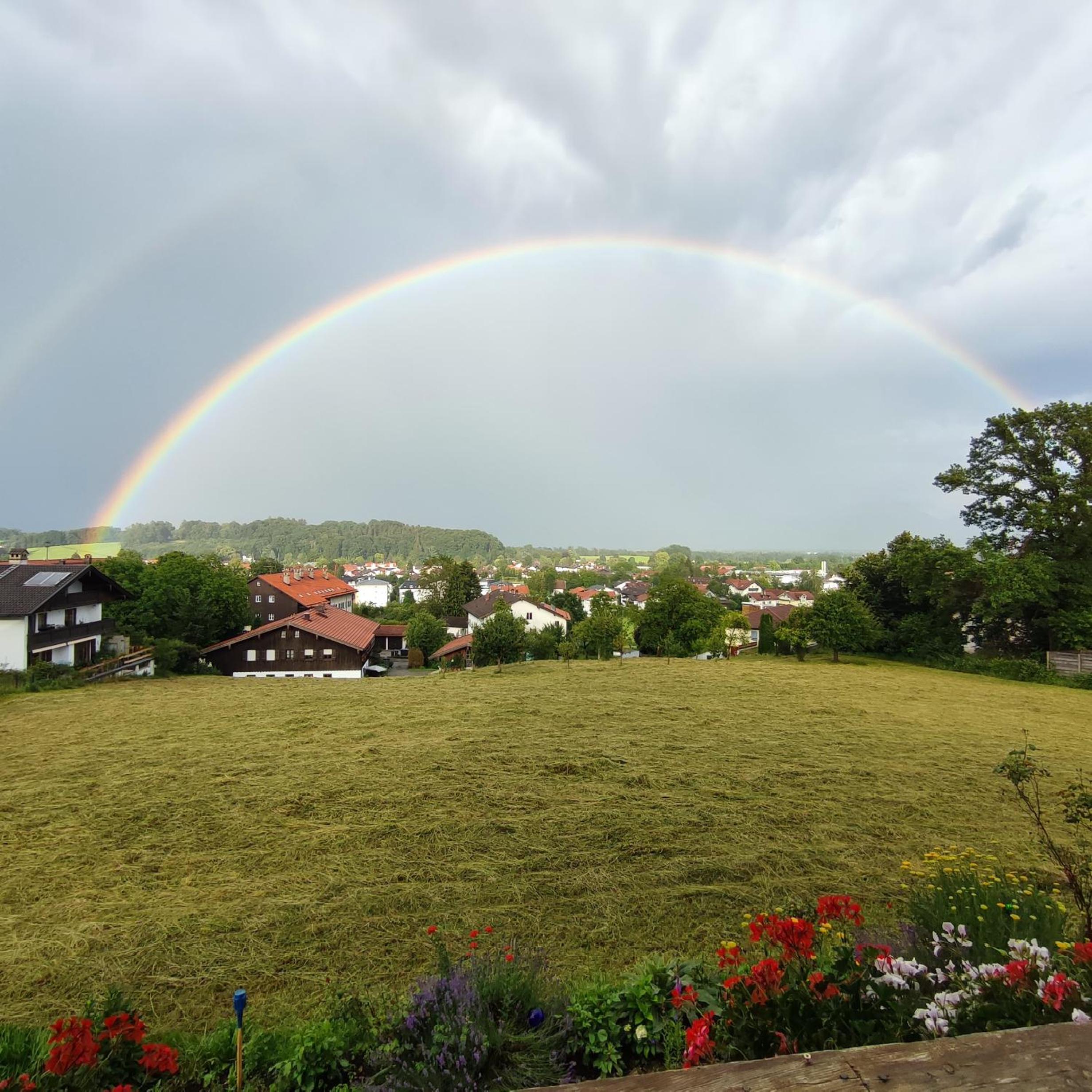 Widernhof