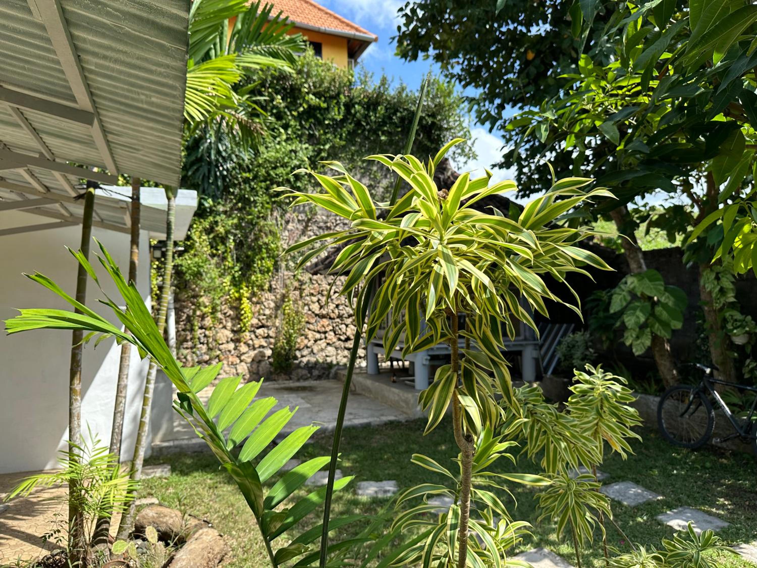 Photo 27