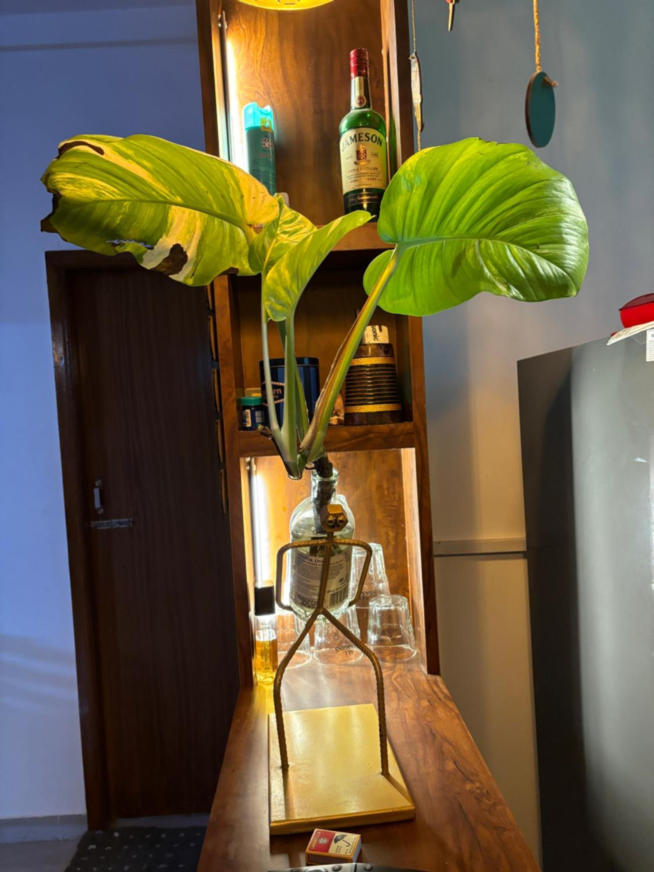 Photo 41