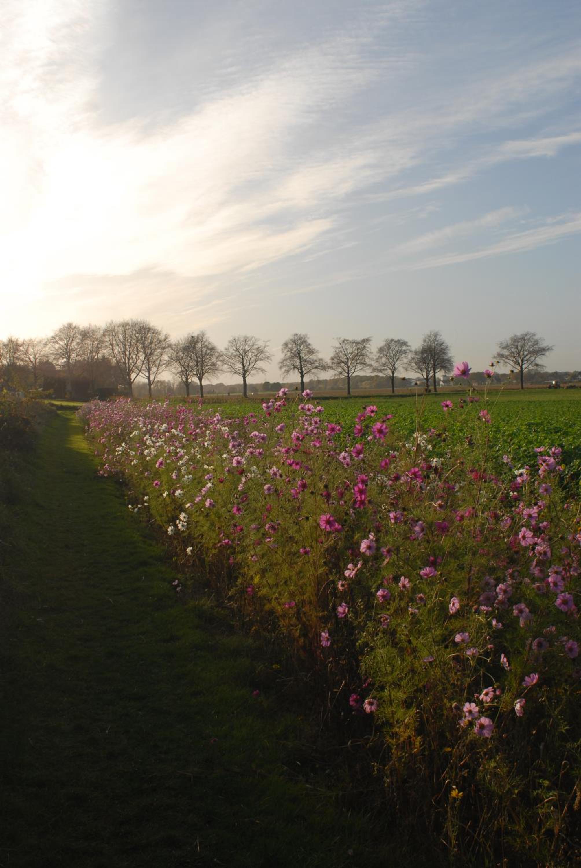 Het blauwe huis view 5
