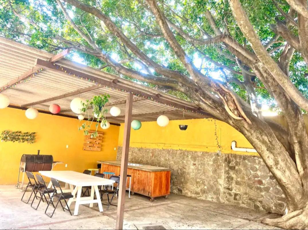 CasonaPalmira alberca climatizada en zona exclusiva