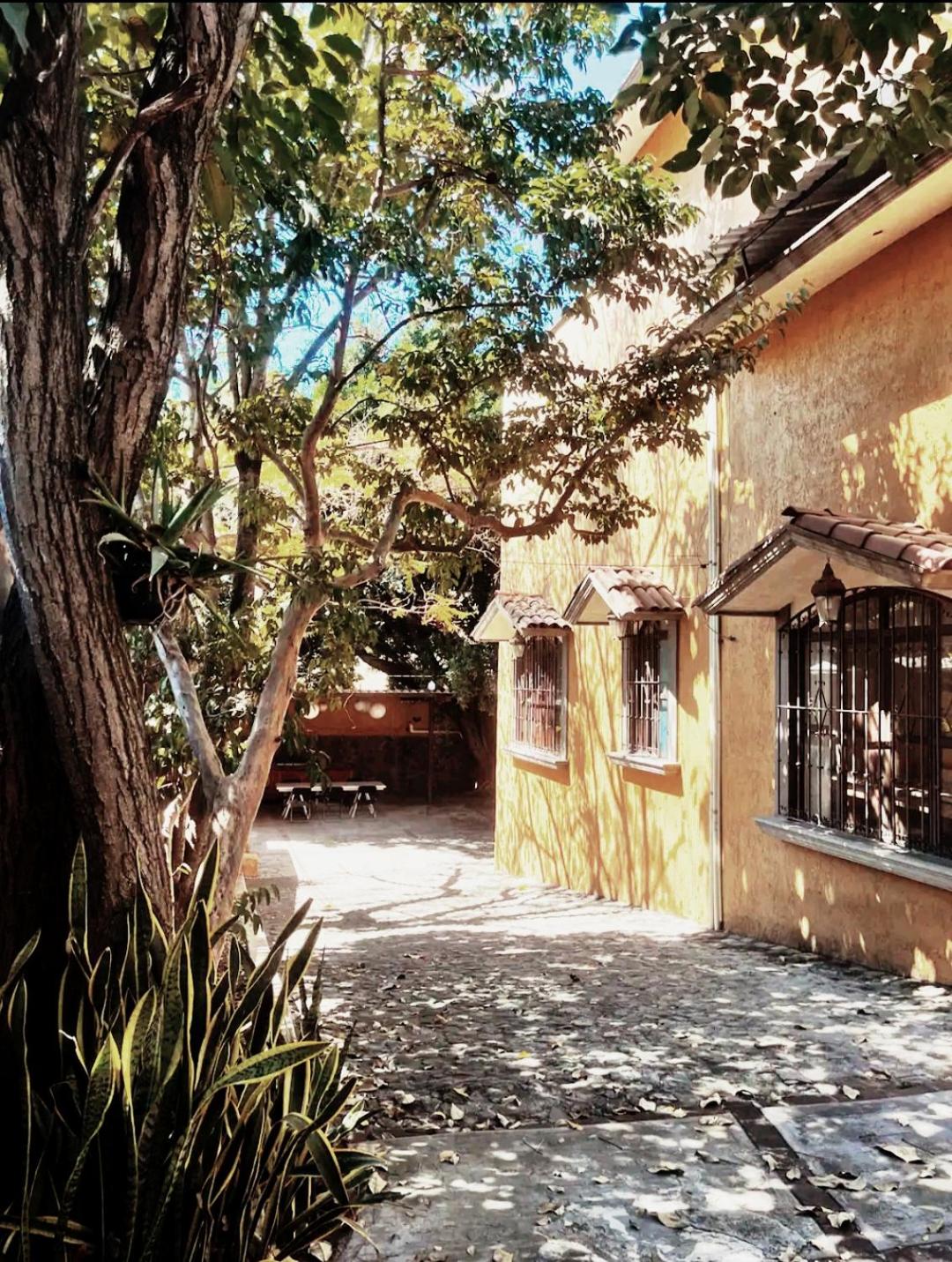 CasonaPalmira alberca climatizada en zona exclusiva