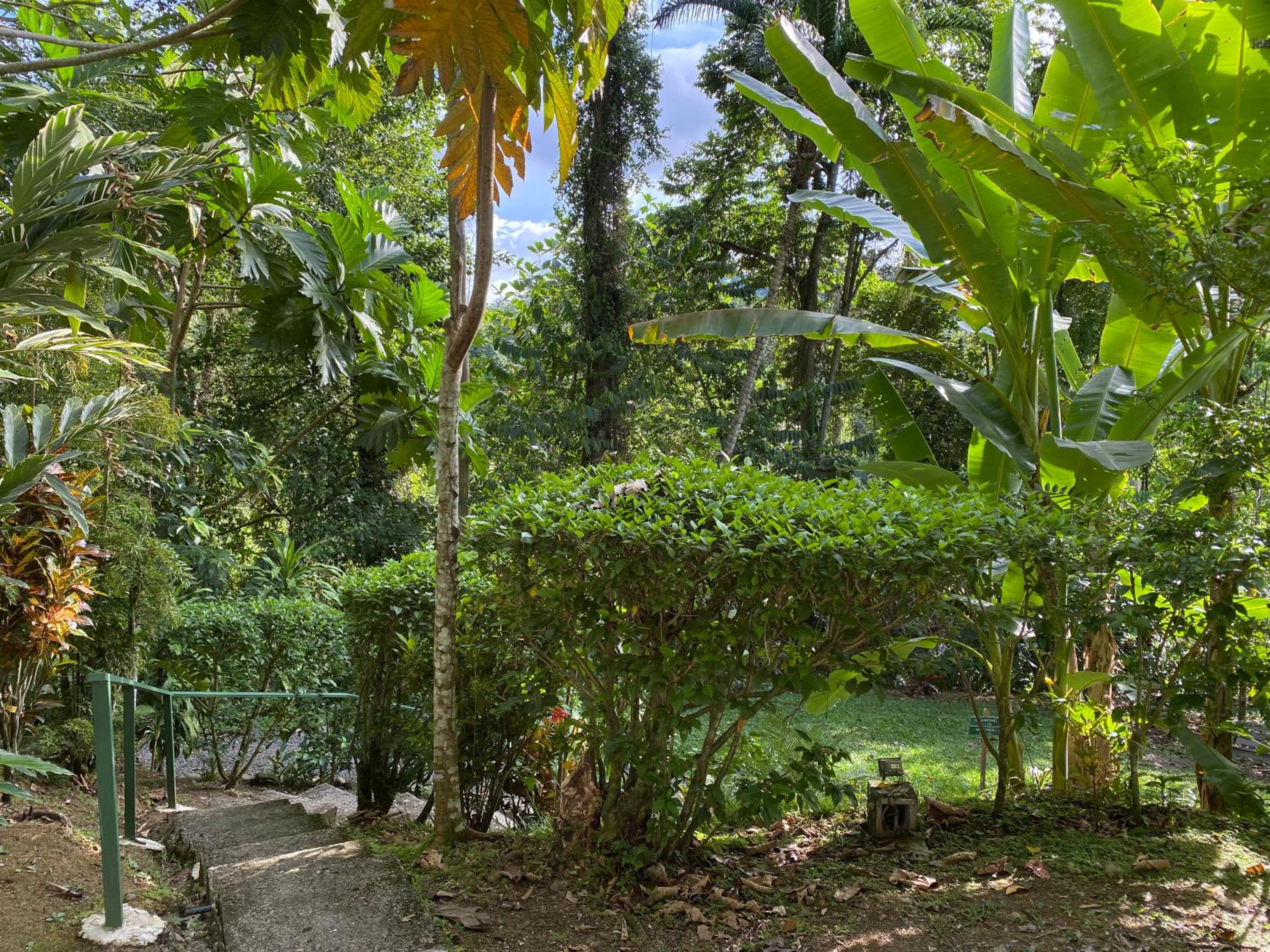Costa Rica Caribbean Coast Vacations - Colina Secreta - Glamping and Villas - Property Image 71