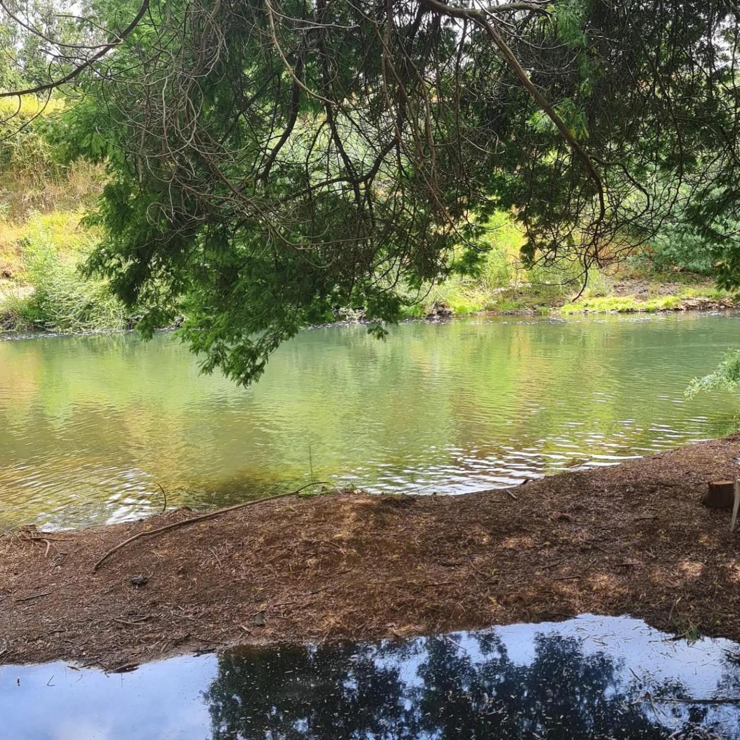 Casa Parcela Spa a 10 minutos del Aeropuerto Araucanía con acceso al Río