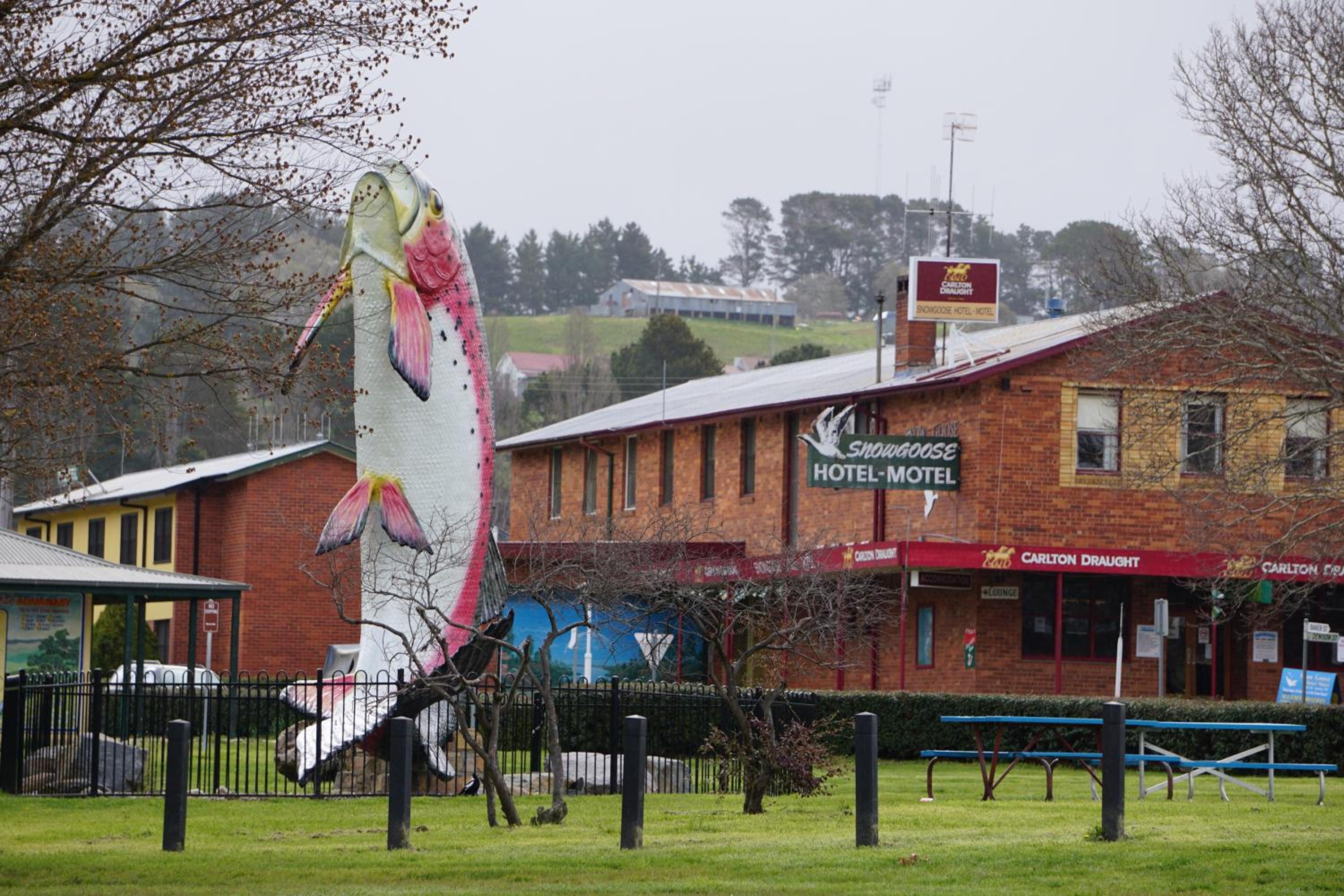 Snow Goose Hotel