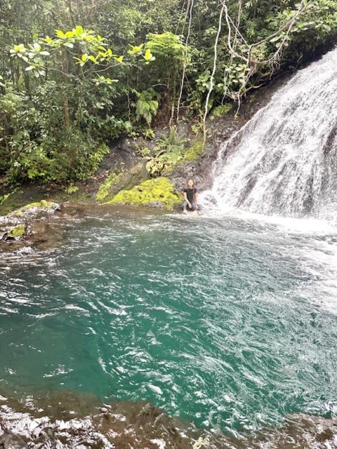 Cosy Farmstay Jasmeeruls Bayt Tuvurara, Savusavu