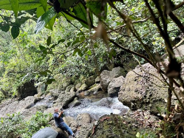 Cosy Farmstay Jasmeeruls Bayt Tuvurara, Savusavu