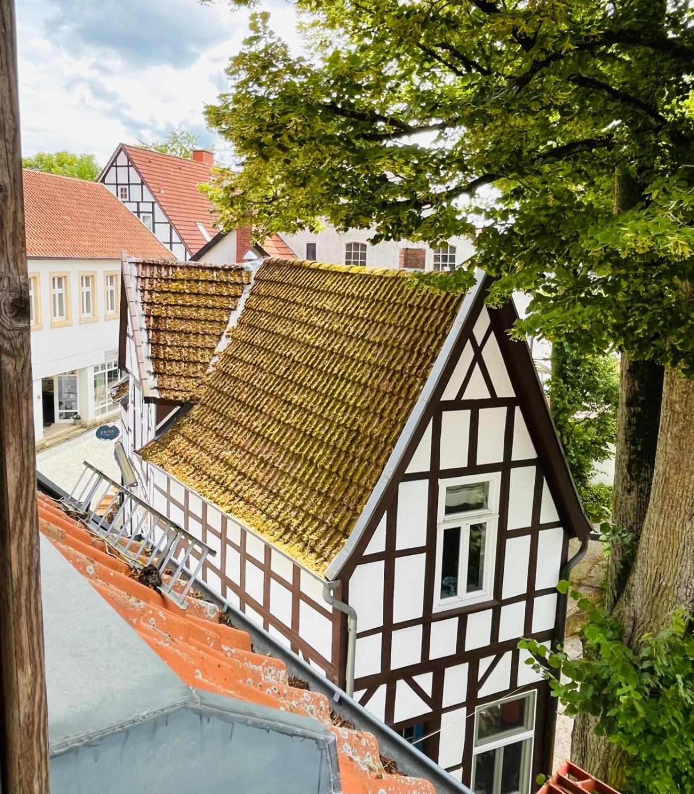 Lateinschule
