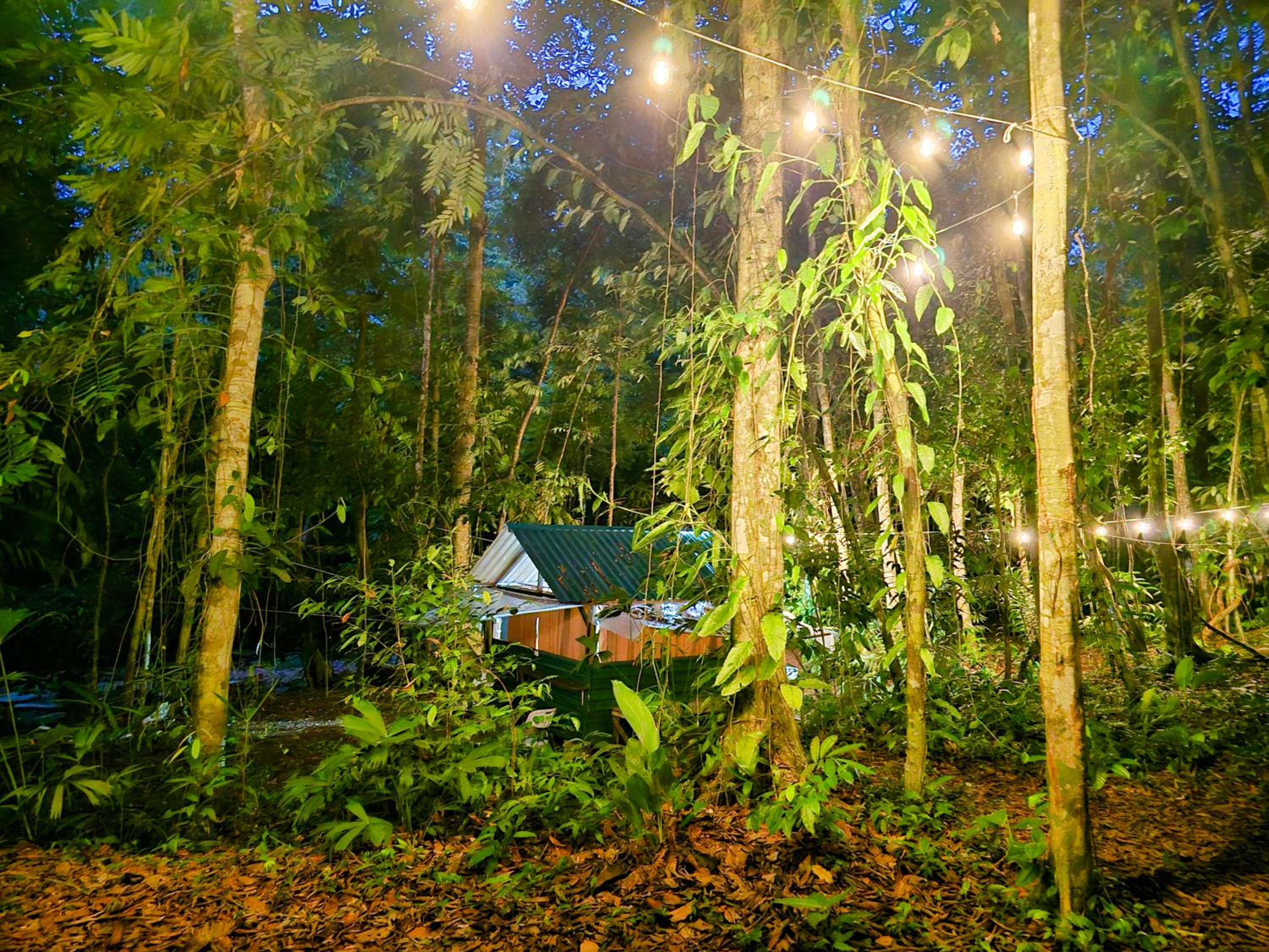 Cool Waters Jungle Camping