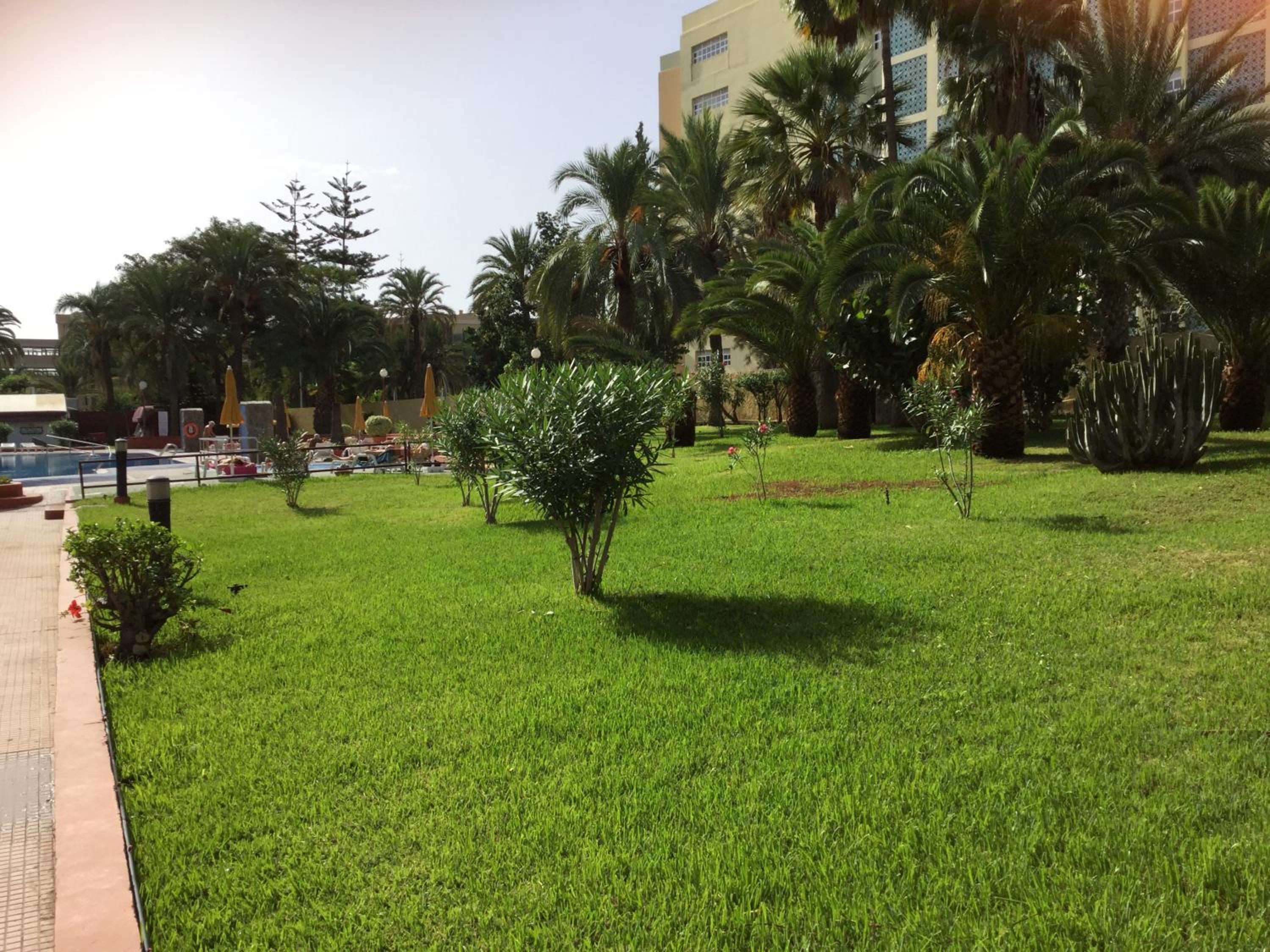 Apartamento Agaete Park