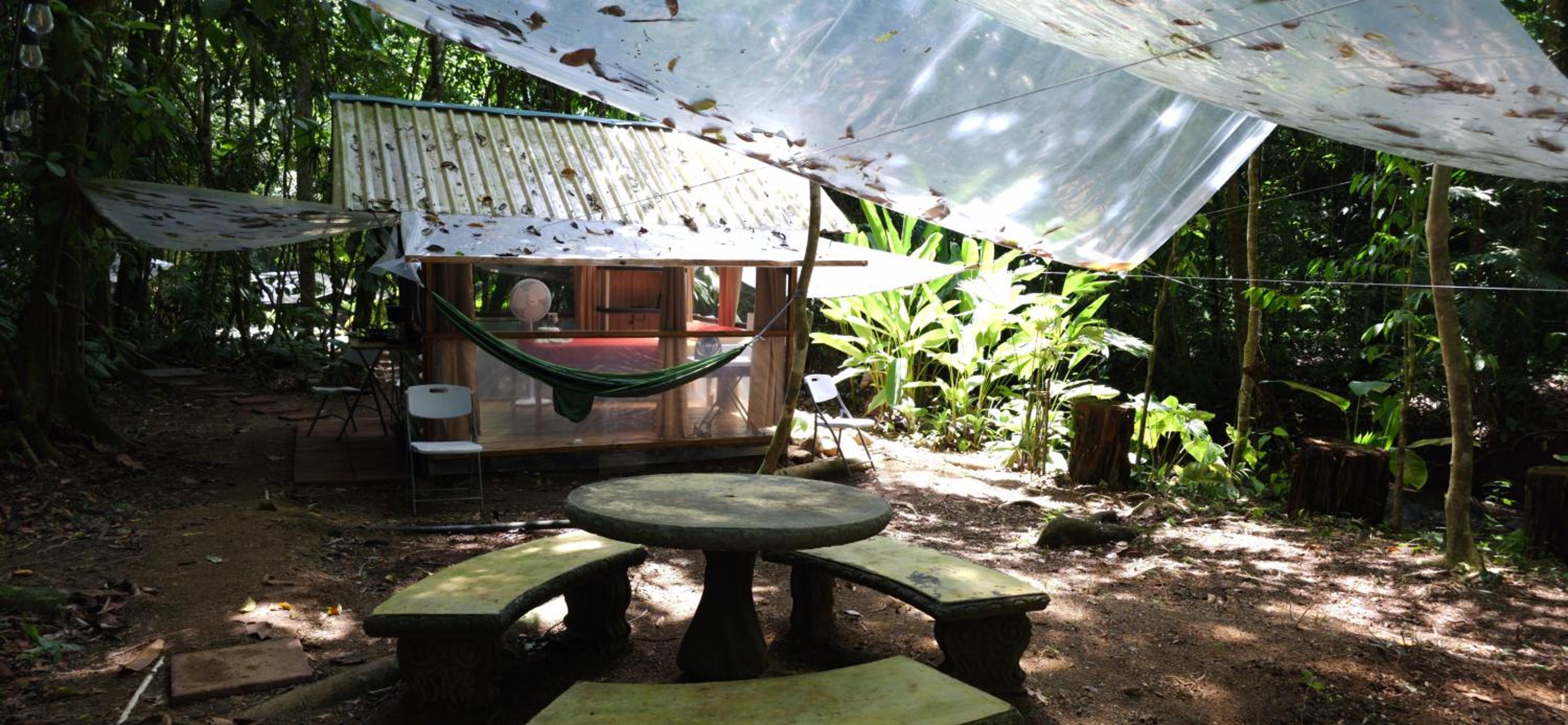 Cool Waters Jungle Camping
