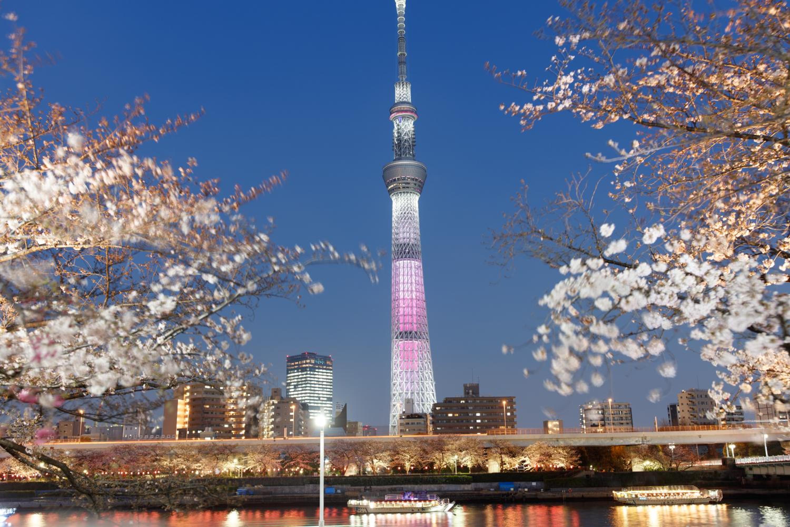 東京雷門ー千の森Asakusa
