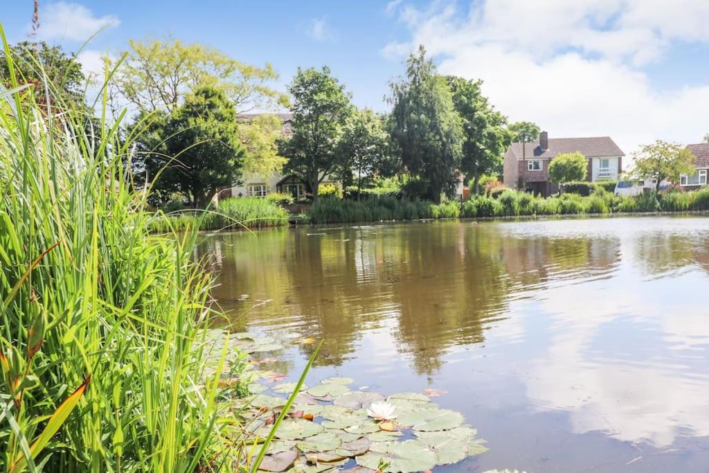 Pondside