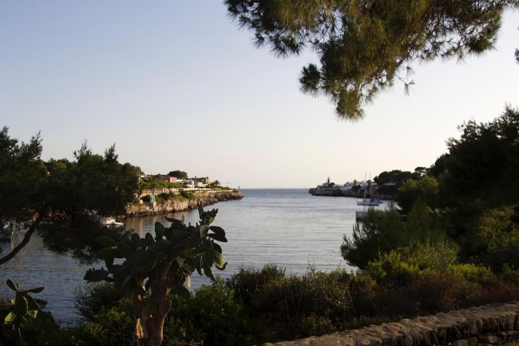 En Casa Menorca