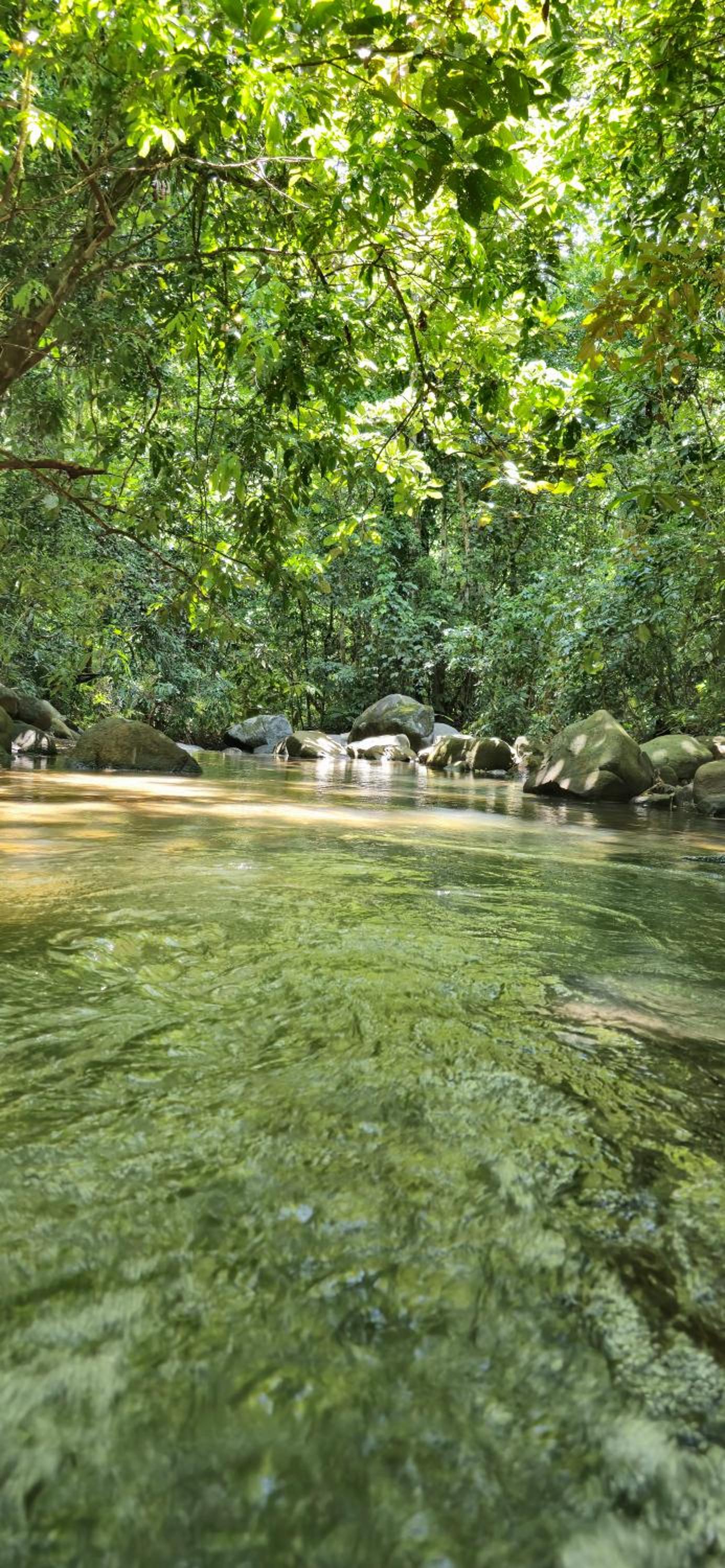 Cool Waters Jungle Camping