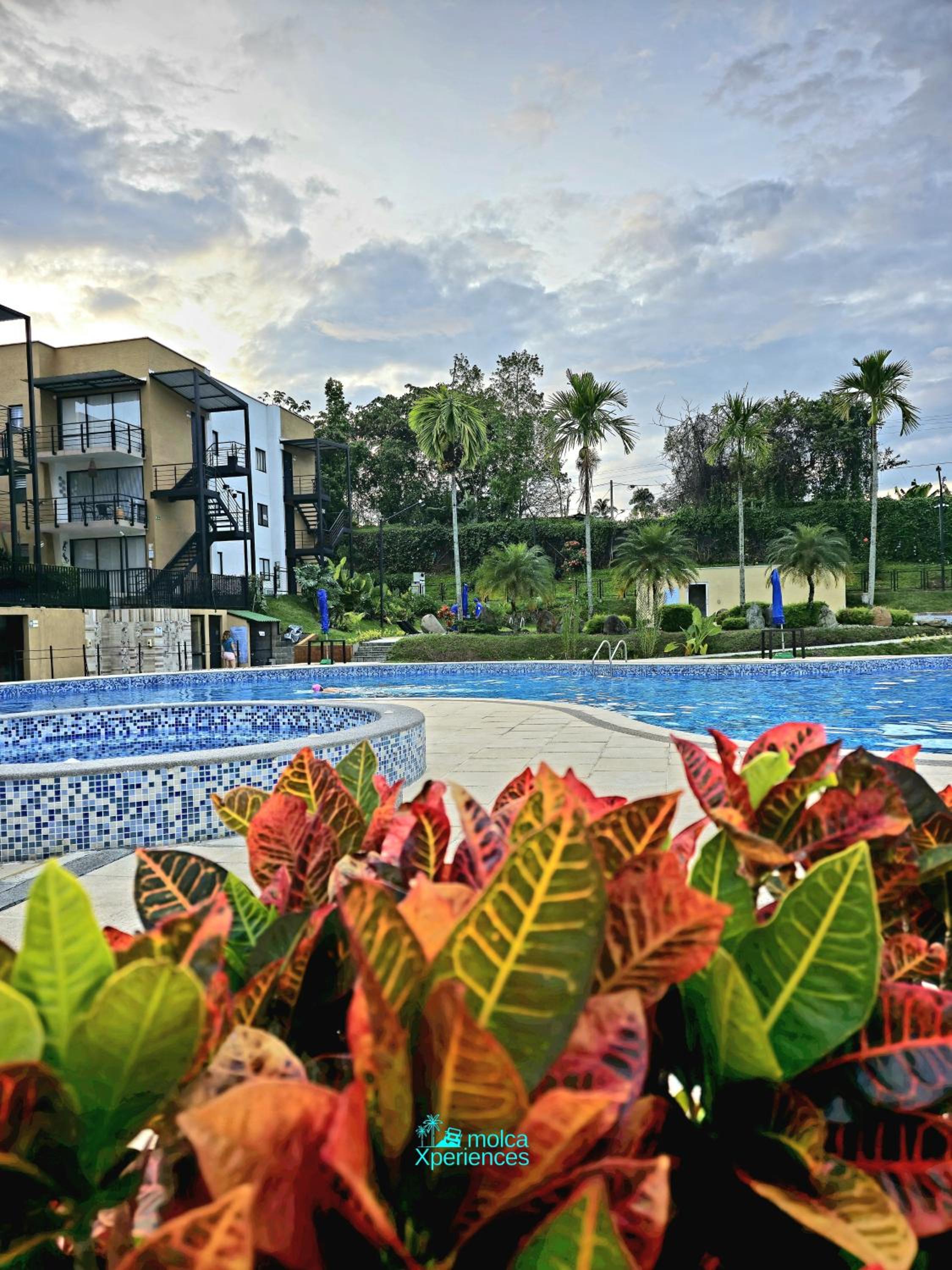 Apartamentos PRIVADOS 2 - 3 Habitaciones 4 Piscinas, 3 Jacuzzi, Sauna Cerca Aeropuerto Eden y Parque del Cafe por Molca Travel