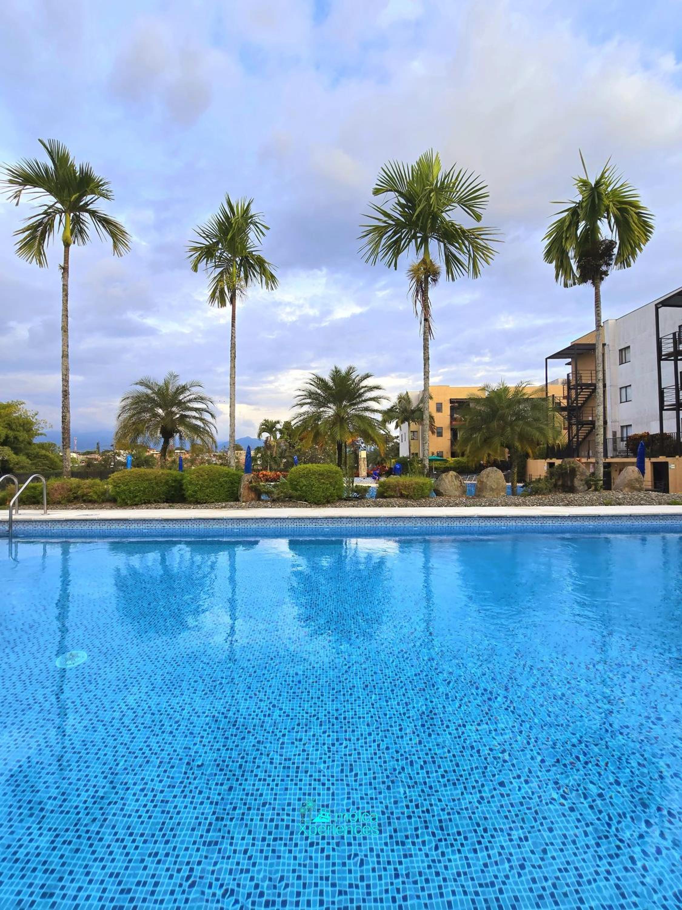 Apartamentos PRIVADOS 2 - 3 Habitaciones 4 Piscinas, 3 Jacuzzi, Sauna Cerca Aeropuerto Eden y Parque del Cafe por Molca Travel