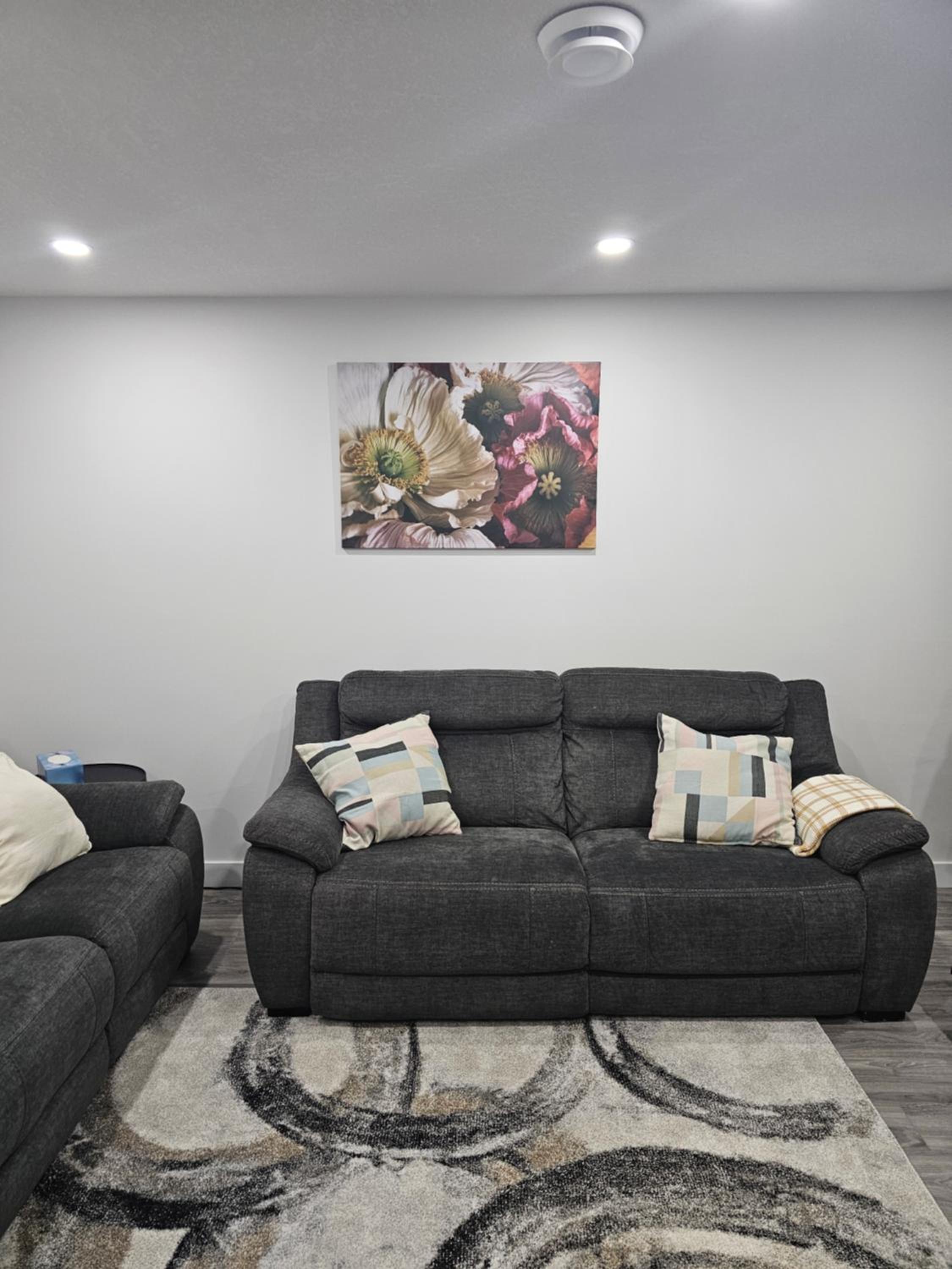 Lovely 2 Bedroom Suite in Calgary