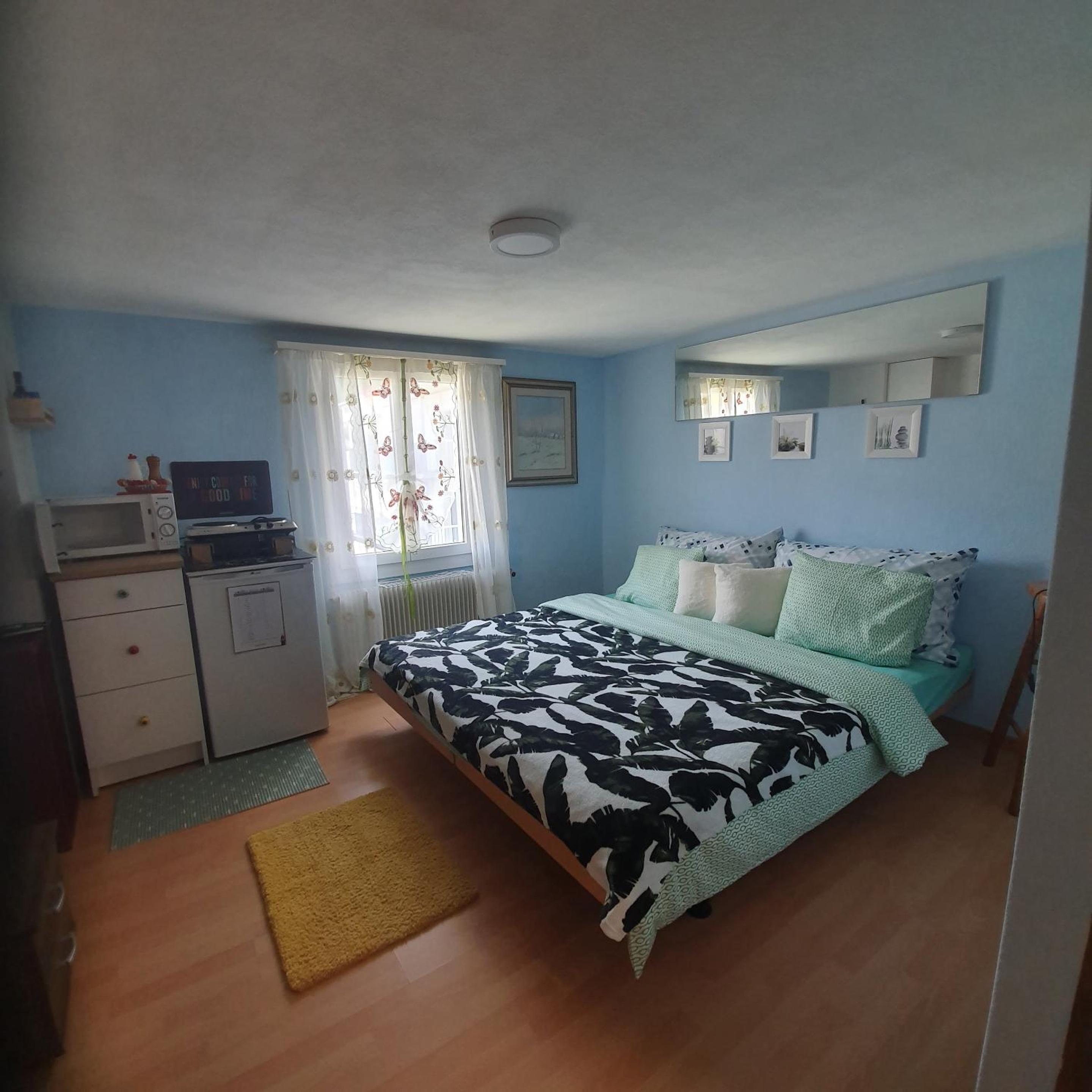 Comfortable Studio in Morschach 15 m² Mountain View