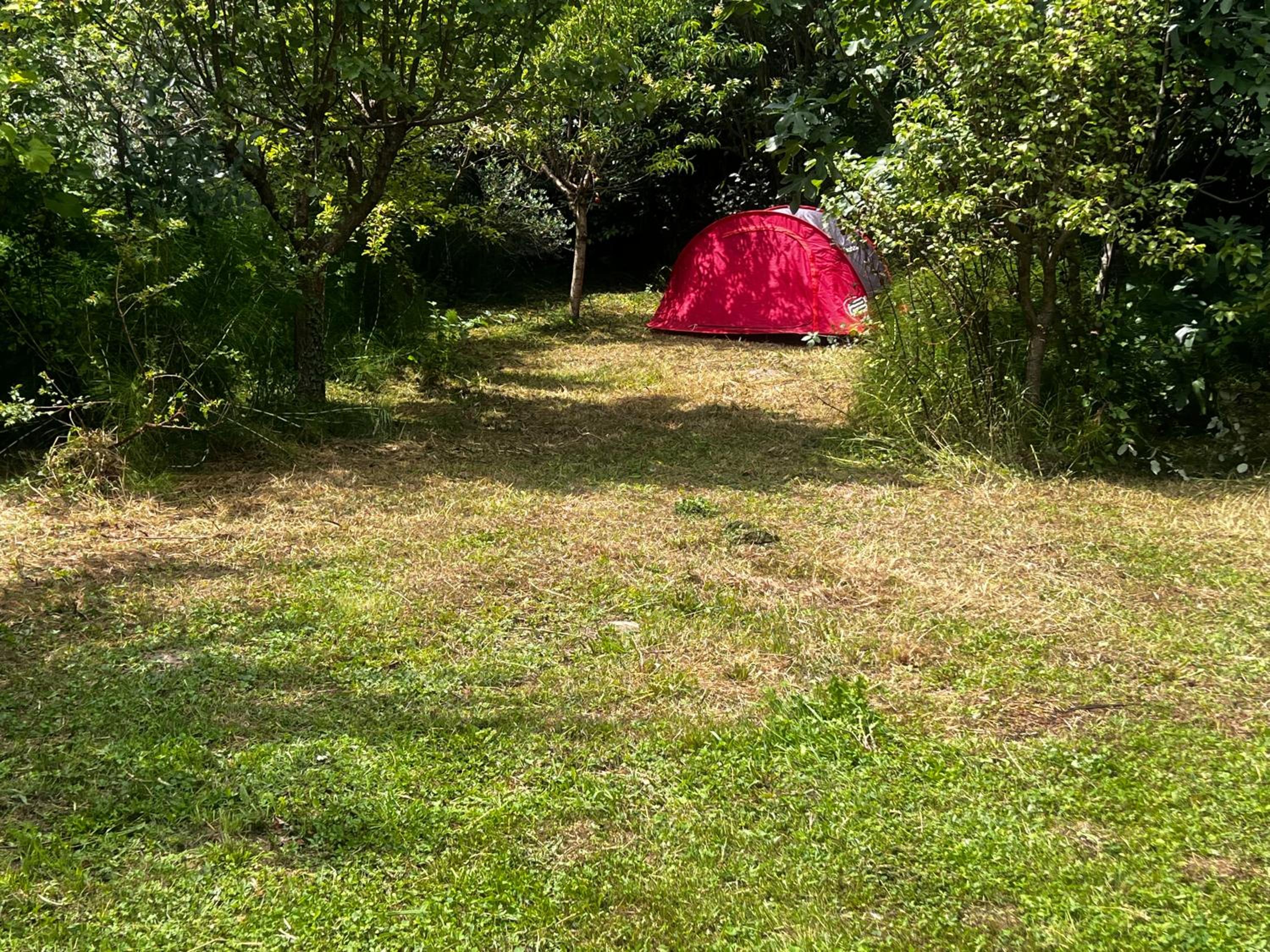 Photo 41