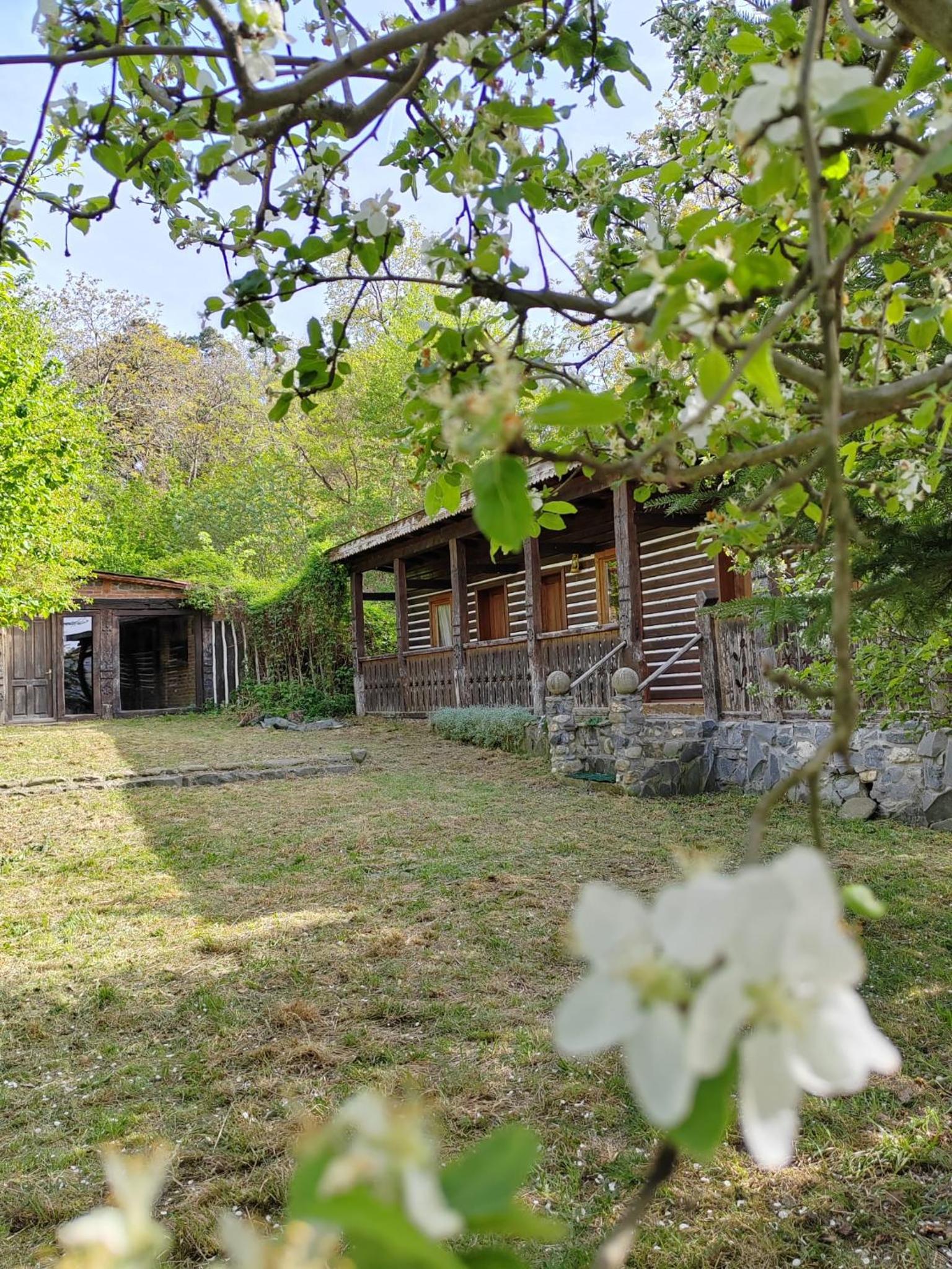 Casa Bunicului