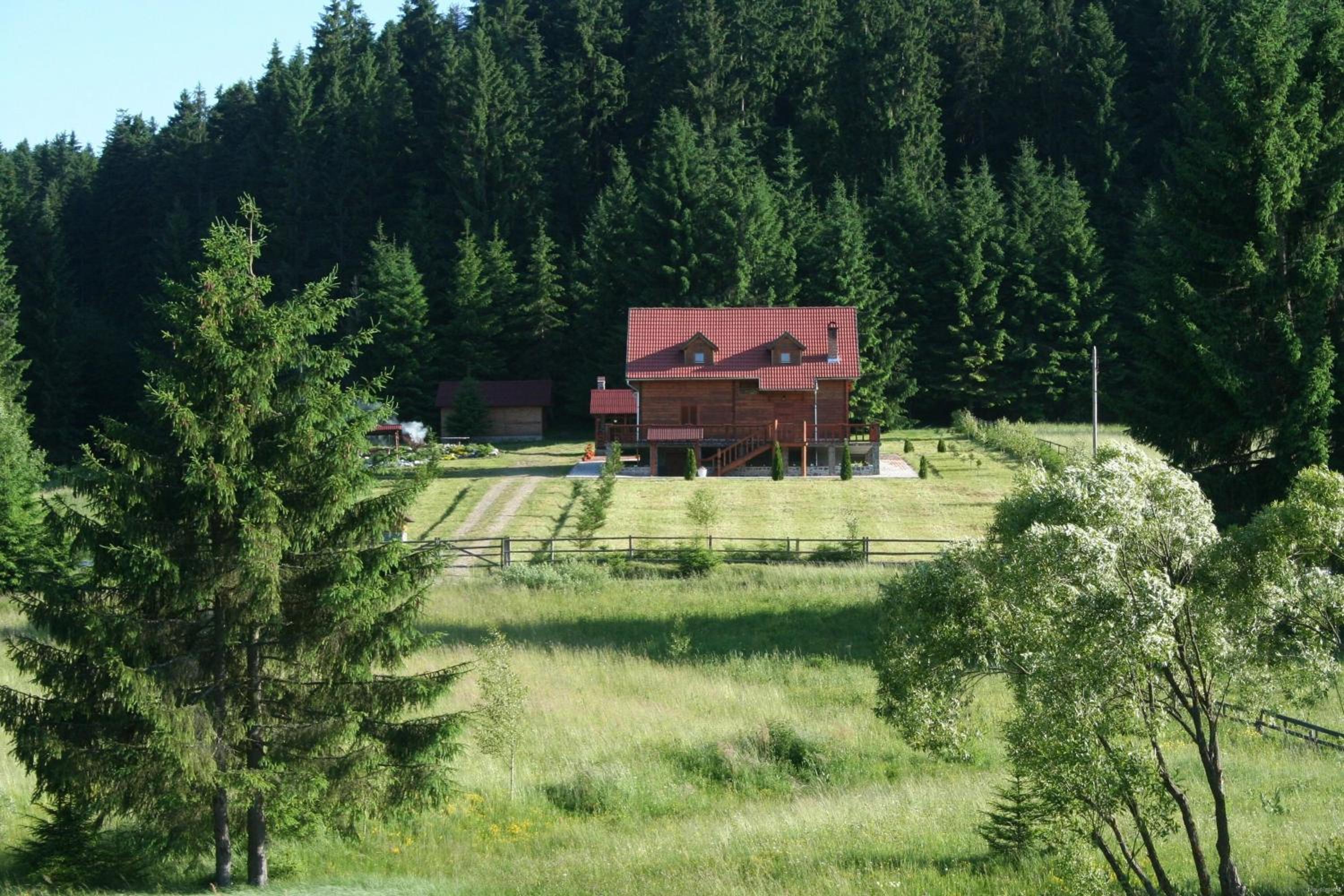 Égéspatak Vendégház view 4