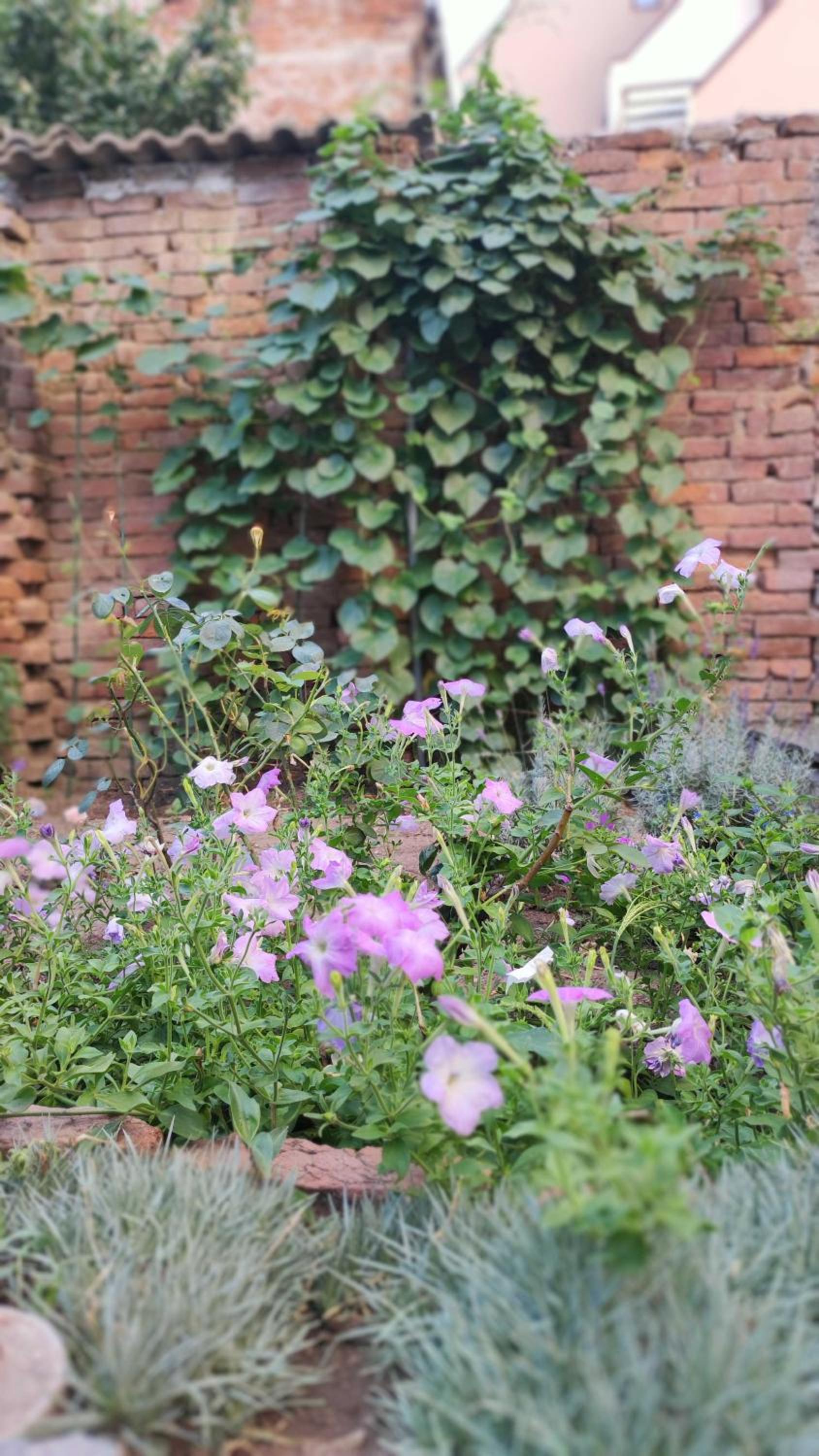 Markovo Tepe House & Garden