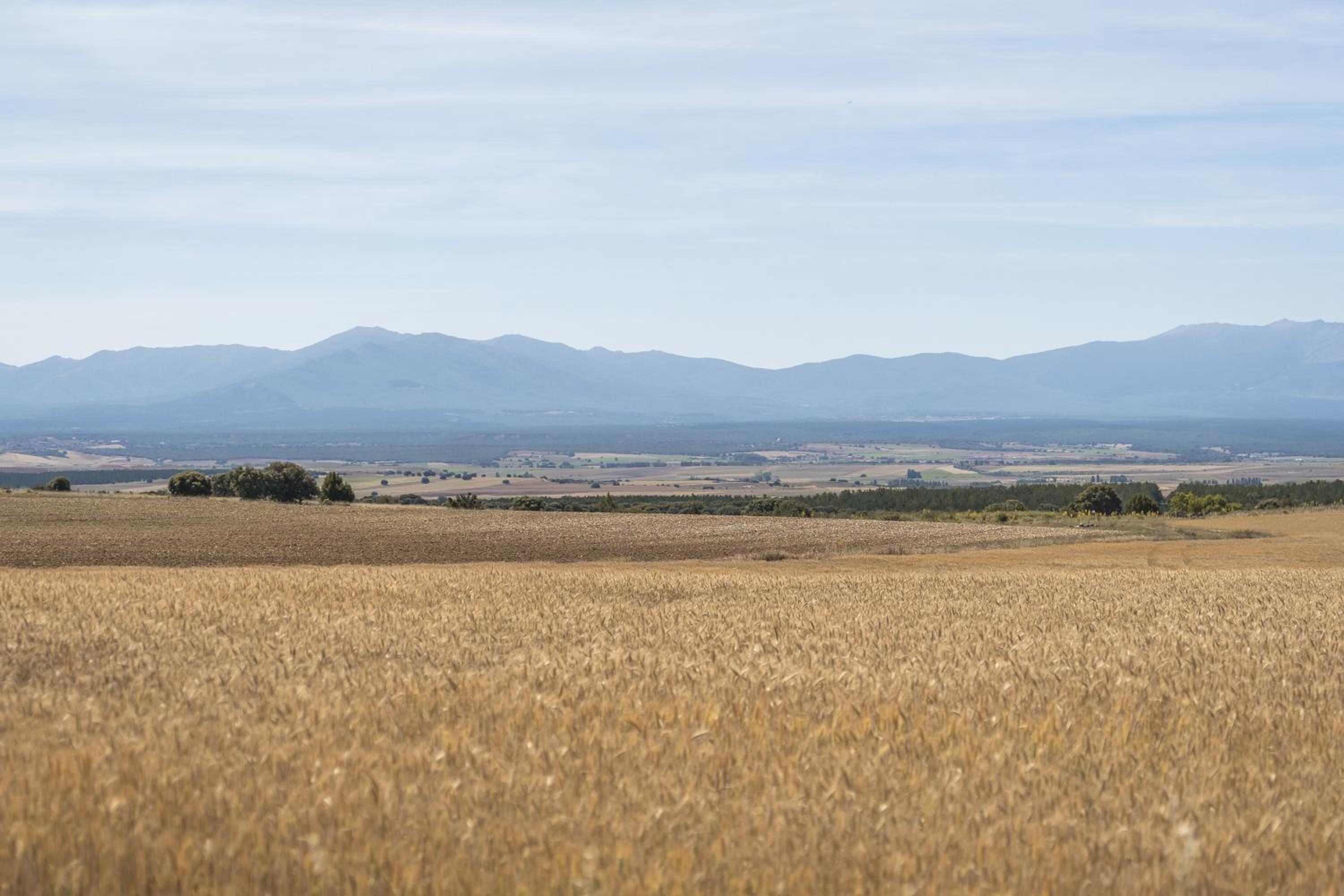 El Rincón de Hornuez