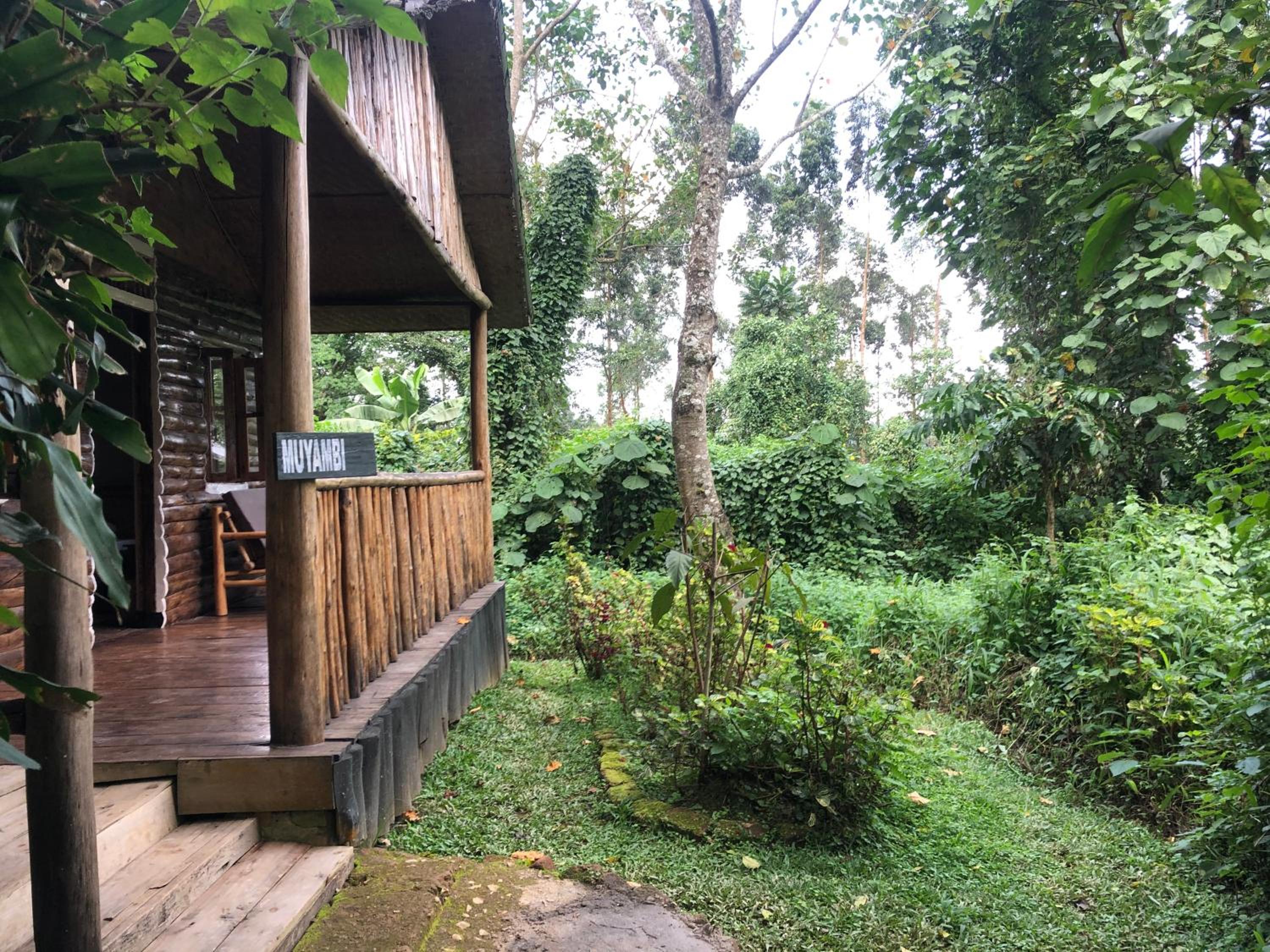 Ruhondeza Lodge
