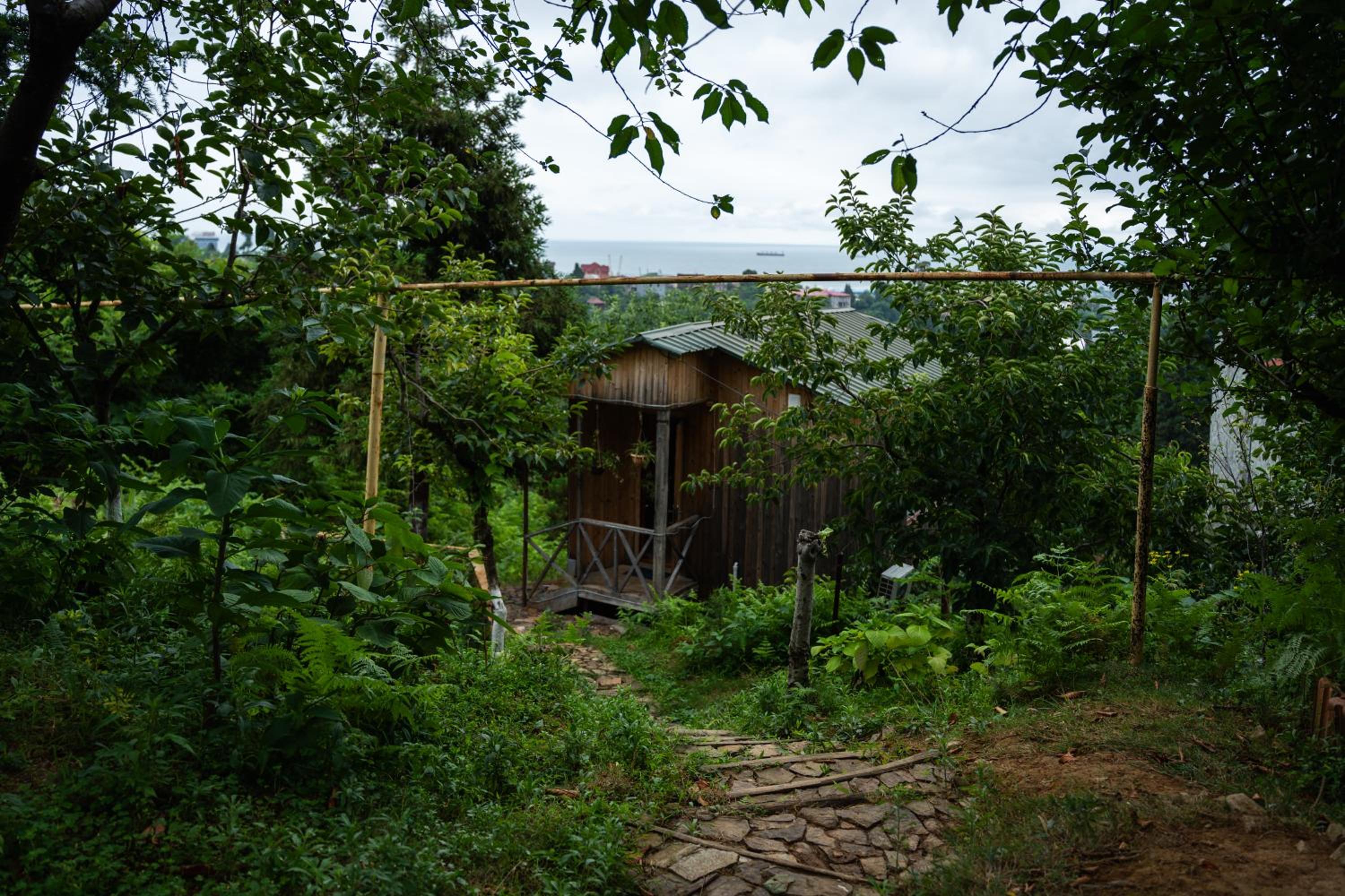 Photo 18