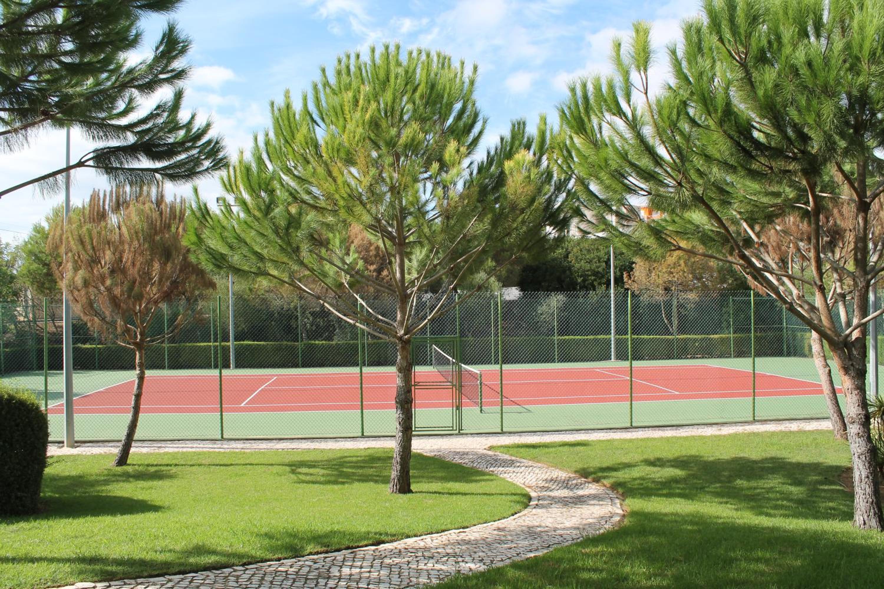 Photo 42