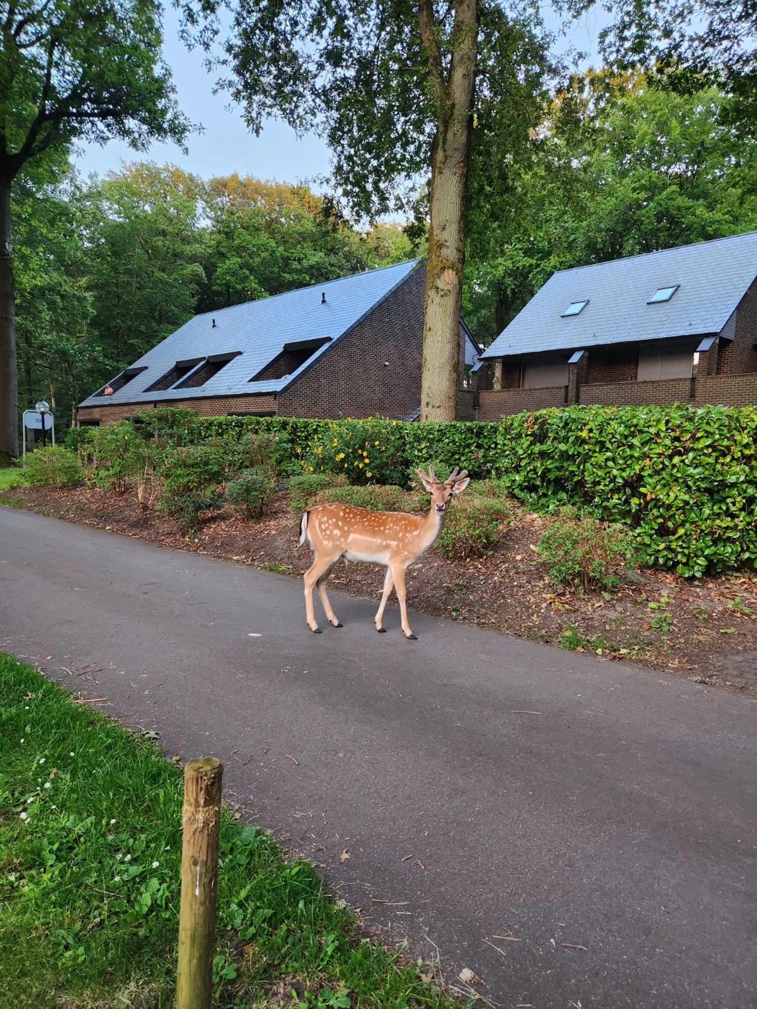 Den 1 Hengelhoef