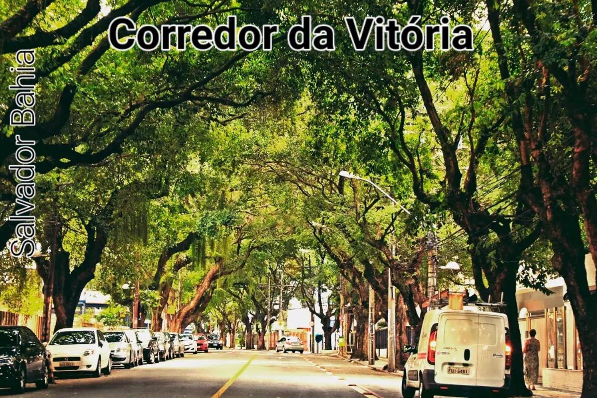 Luz de Regina Bahia