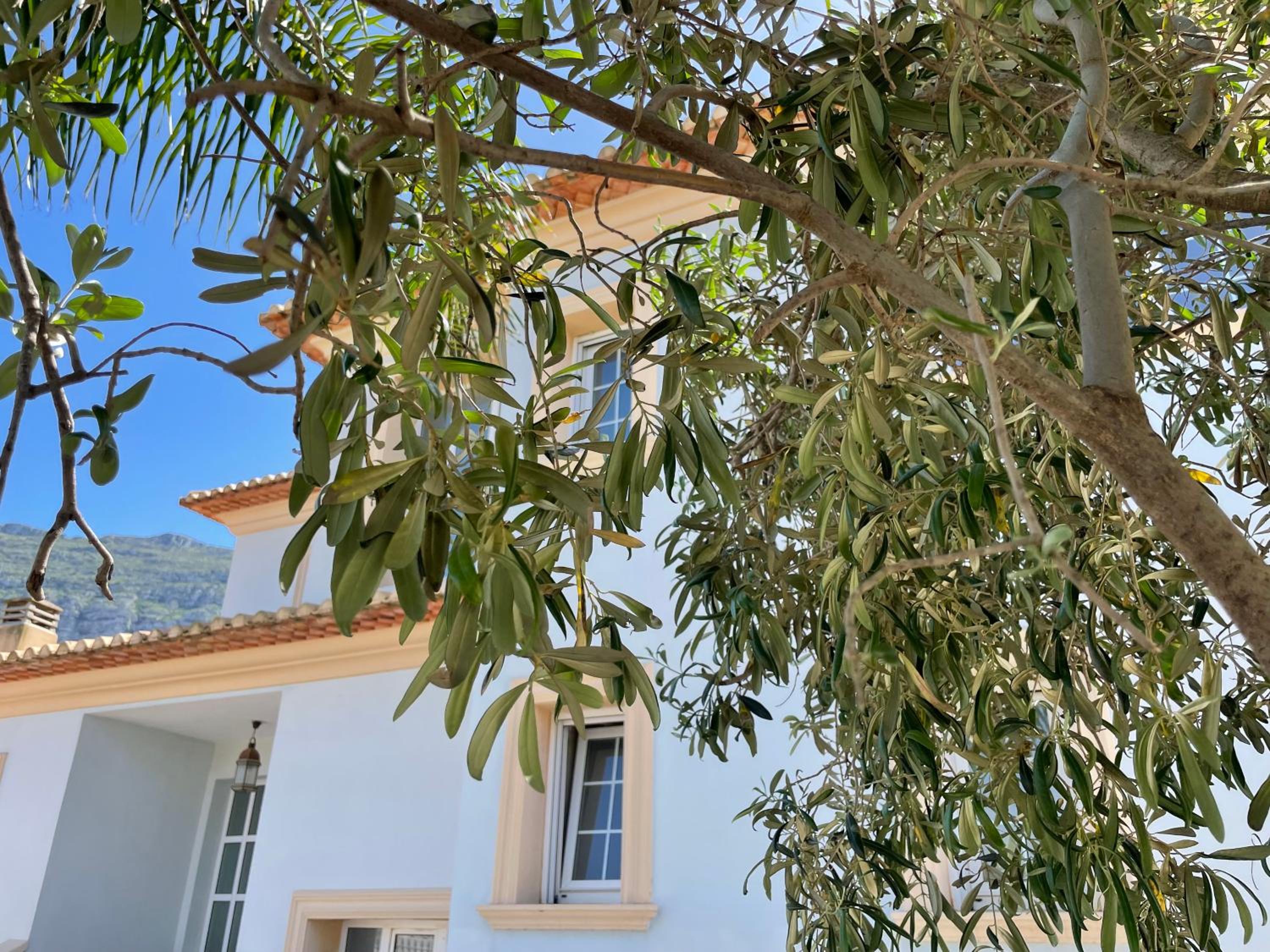 Fenomenale villa met groot privé zwembad Casa Merle