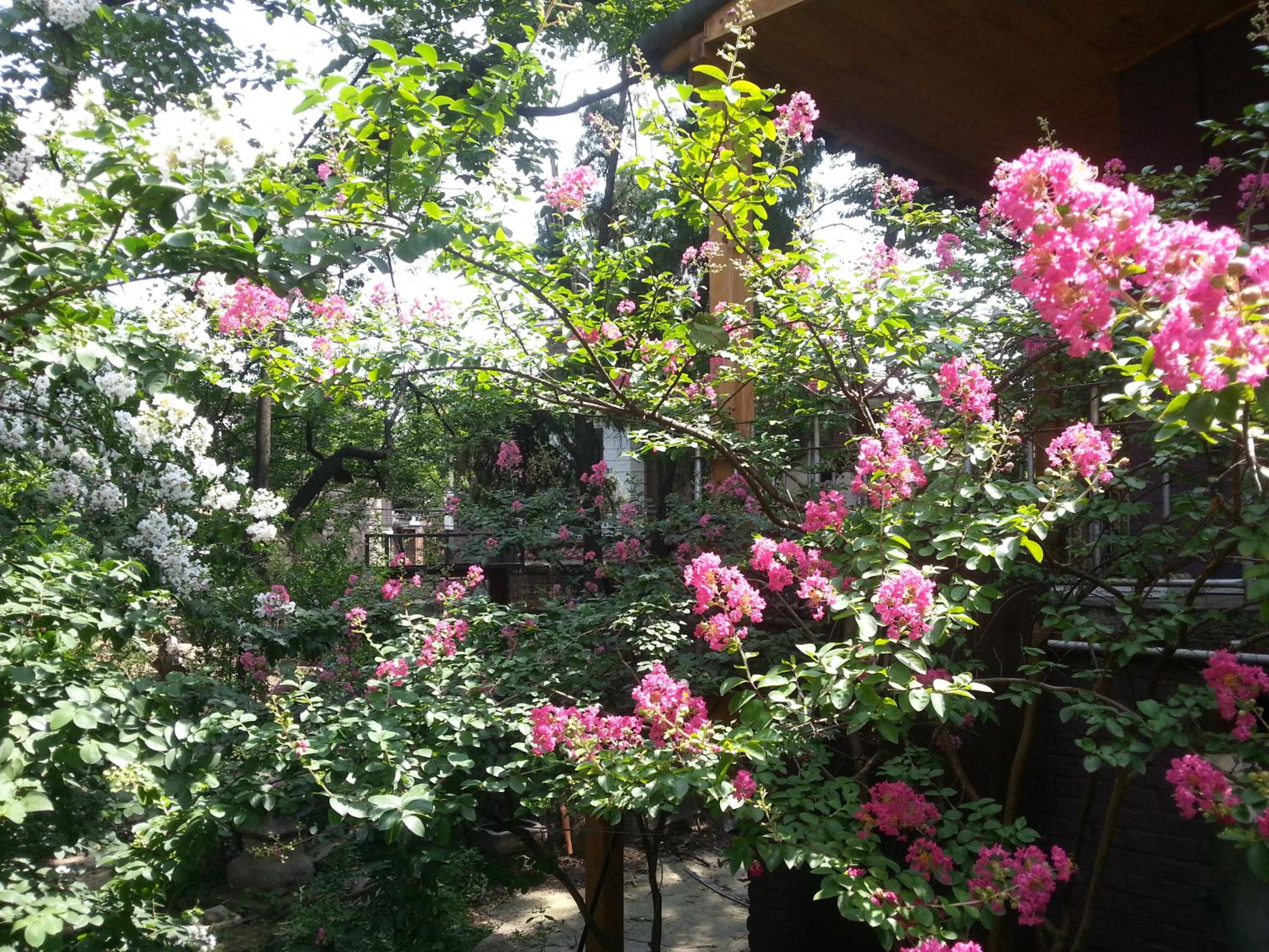 Jiwoljang Guesthouse