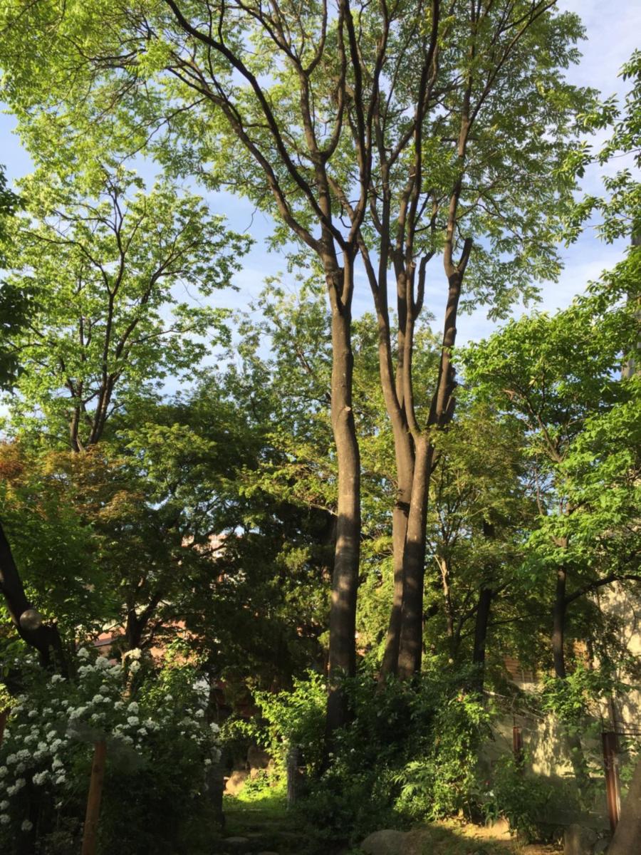 Jiwoljang Guesthouse